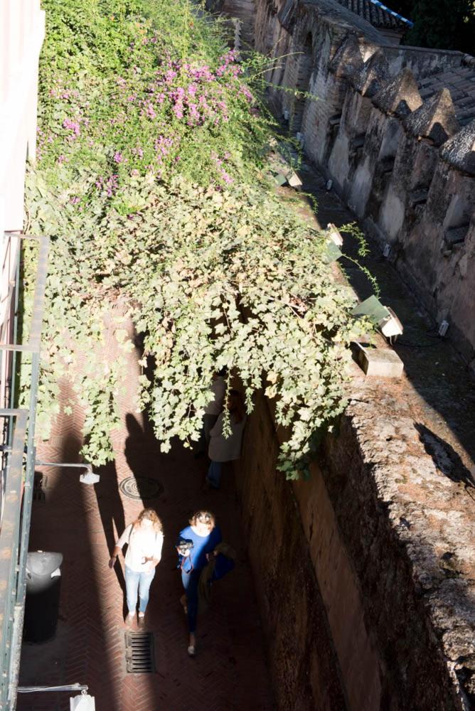 Apartamento Casa Callejón del Agua