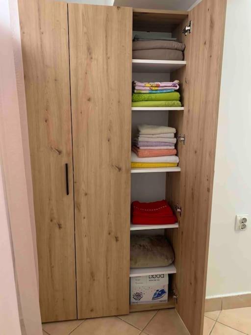 Podgorica city center apartment