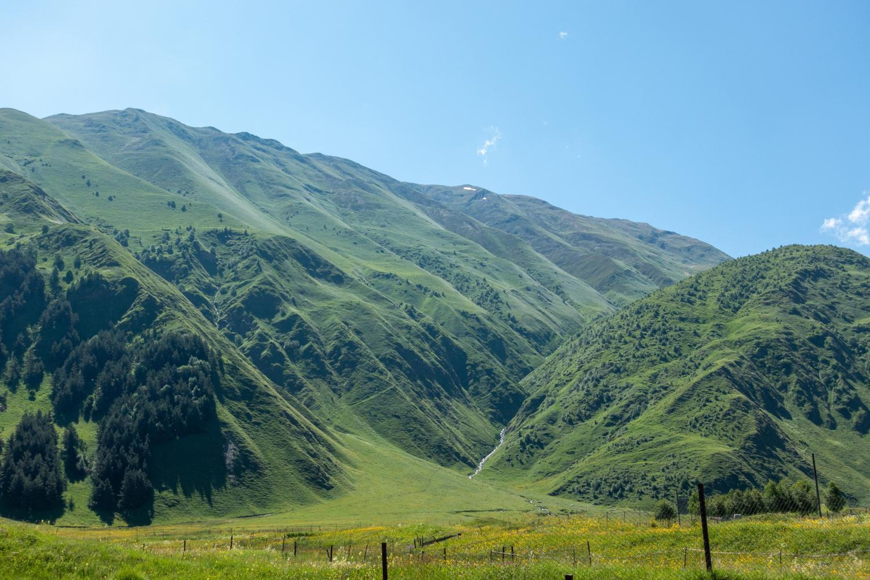 Terkhena