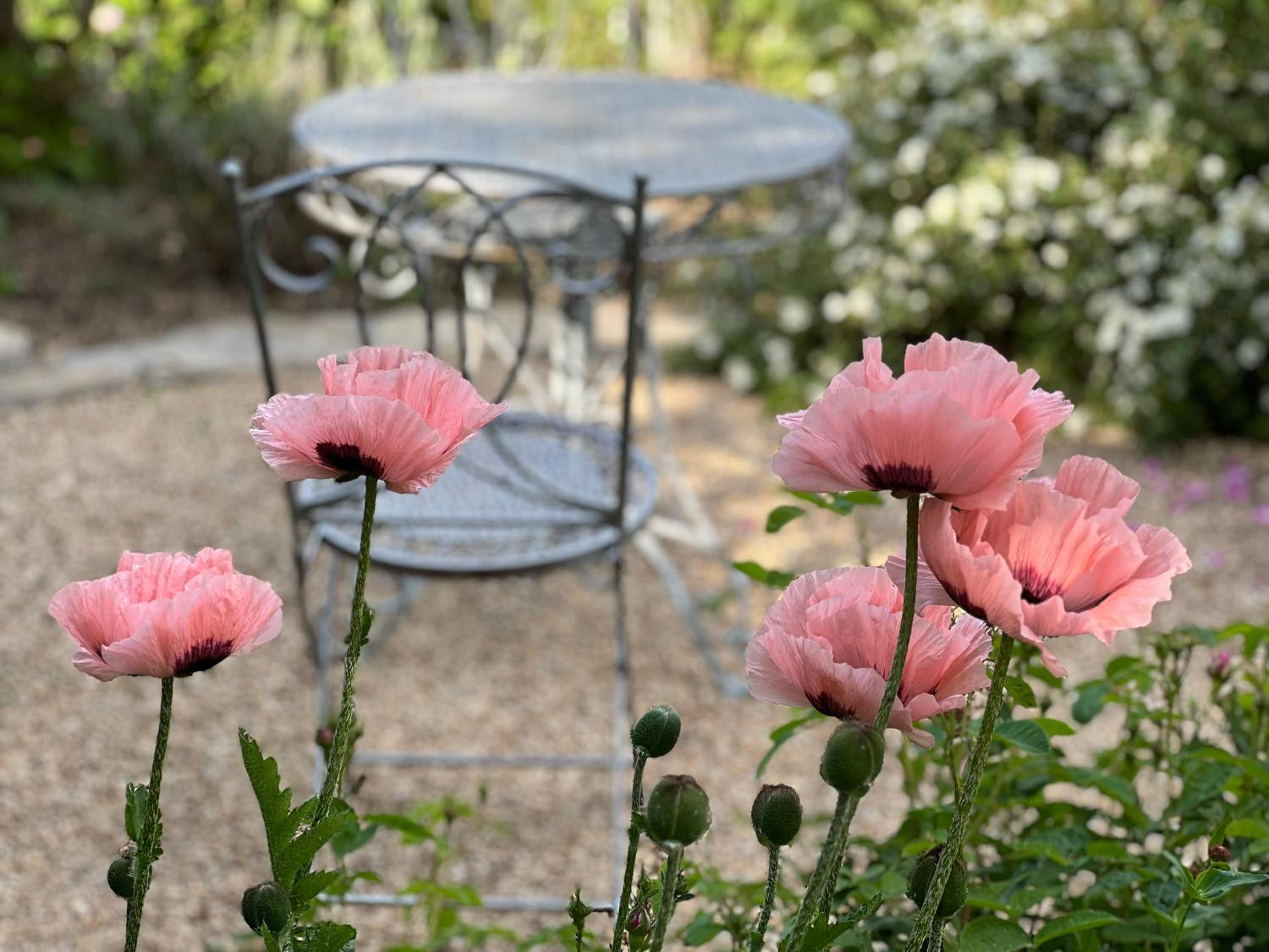 B&B Rosenliebe