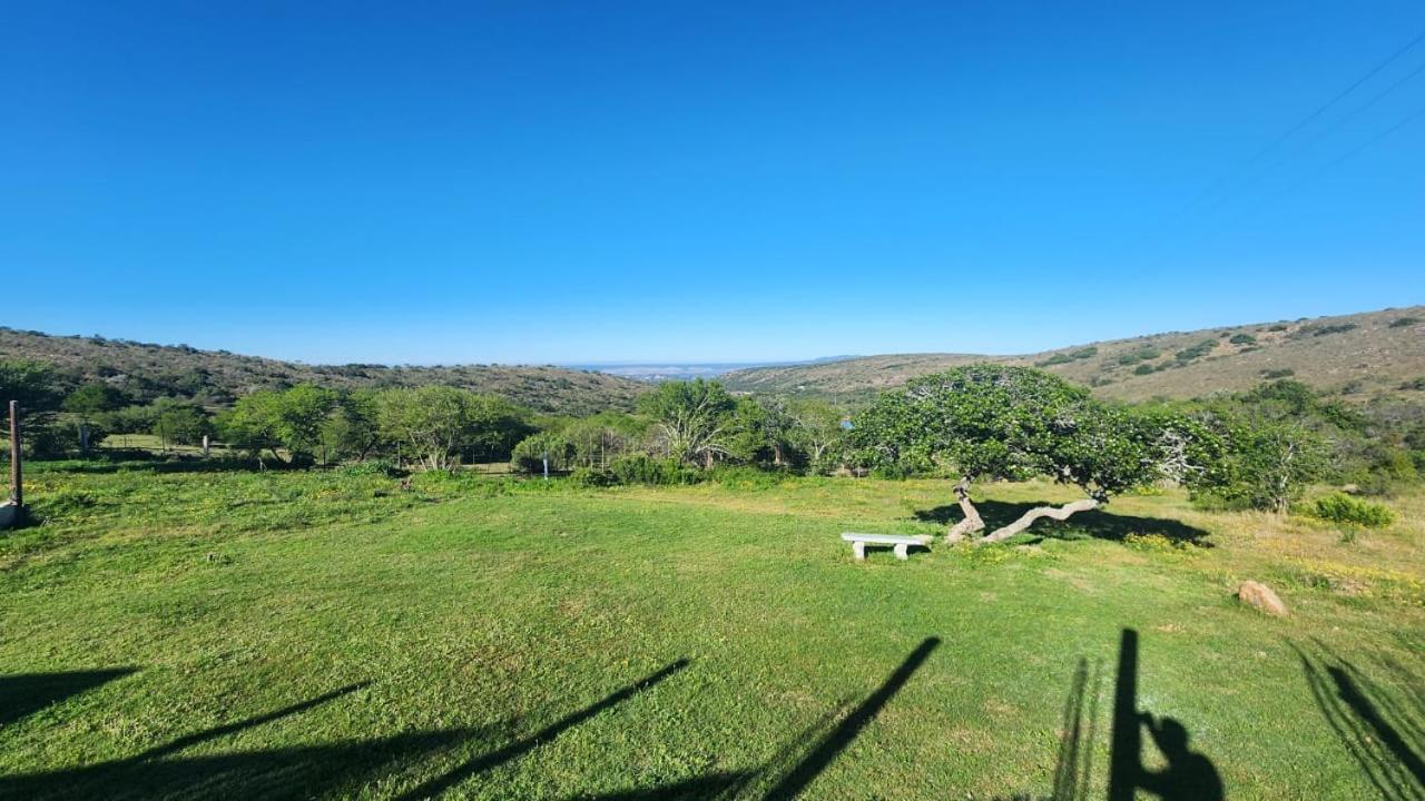 Hilltop