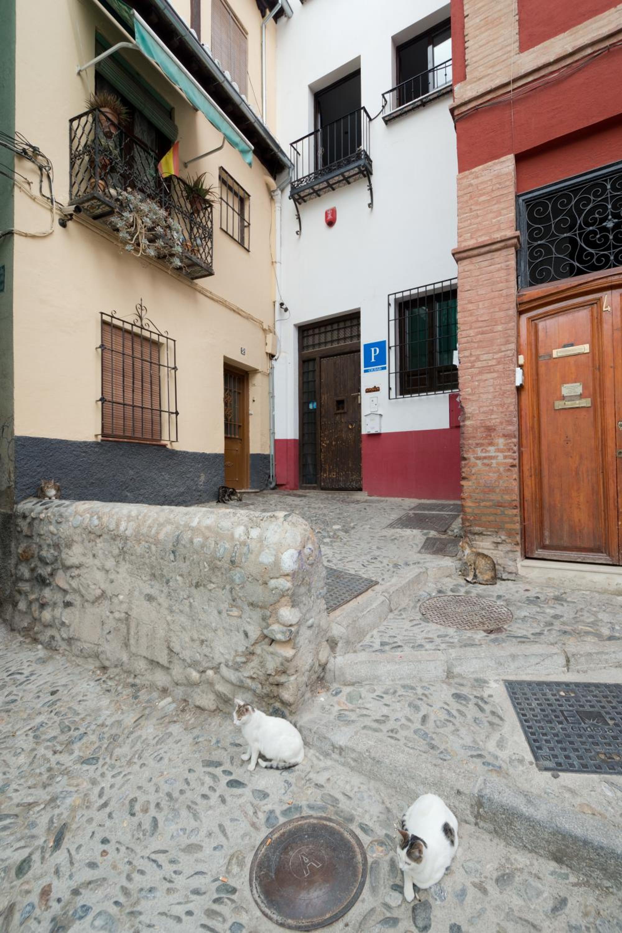 Photo 15