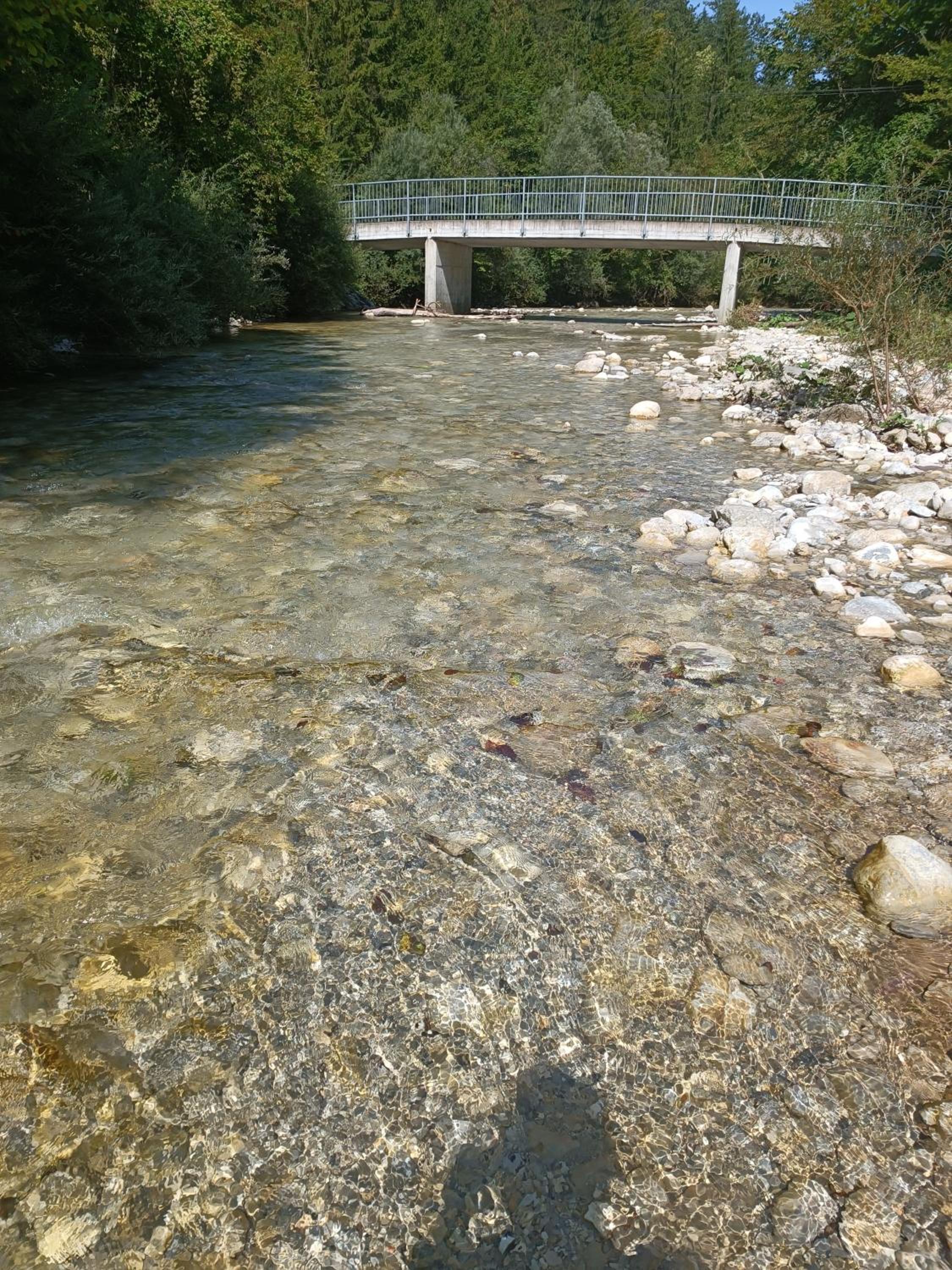 Photo 36