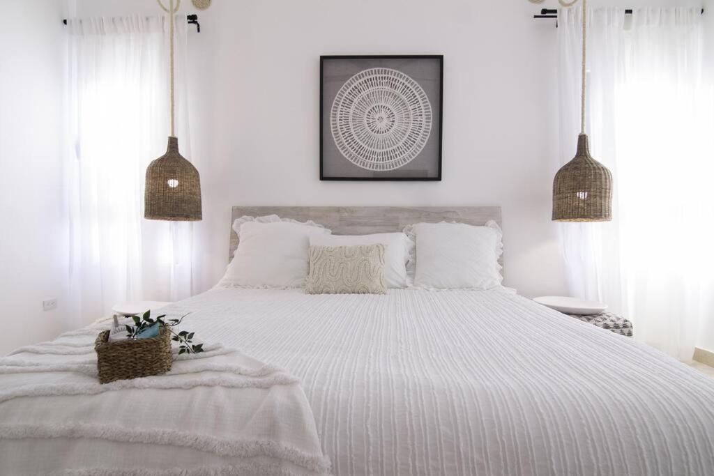 New Beachfront Penthouse Punta Popy