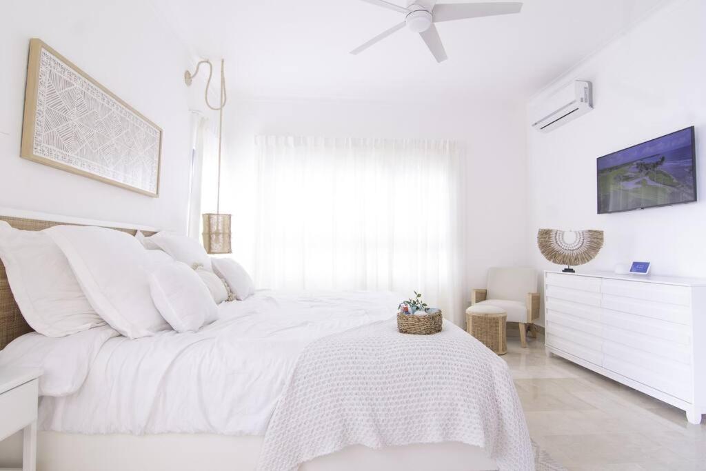 New Beachfront Penthouse Punta Popy