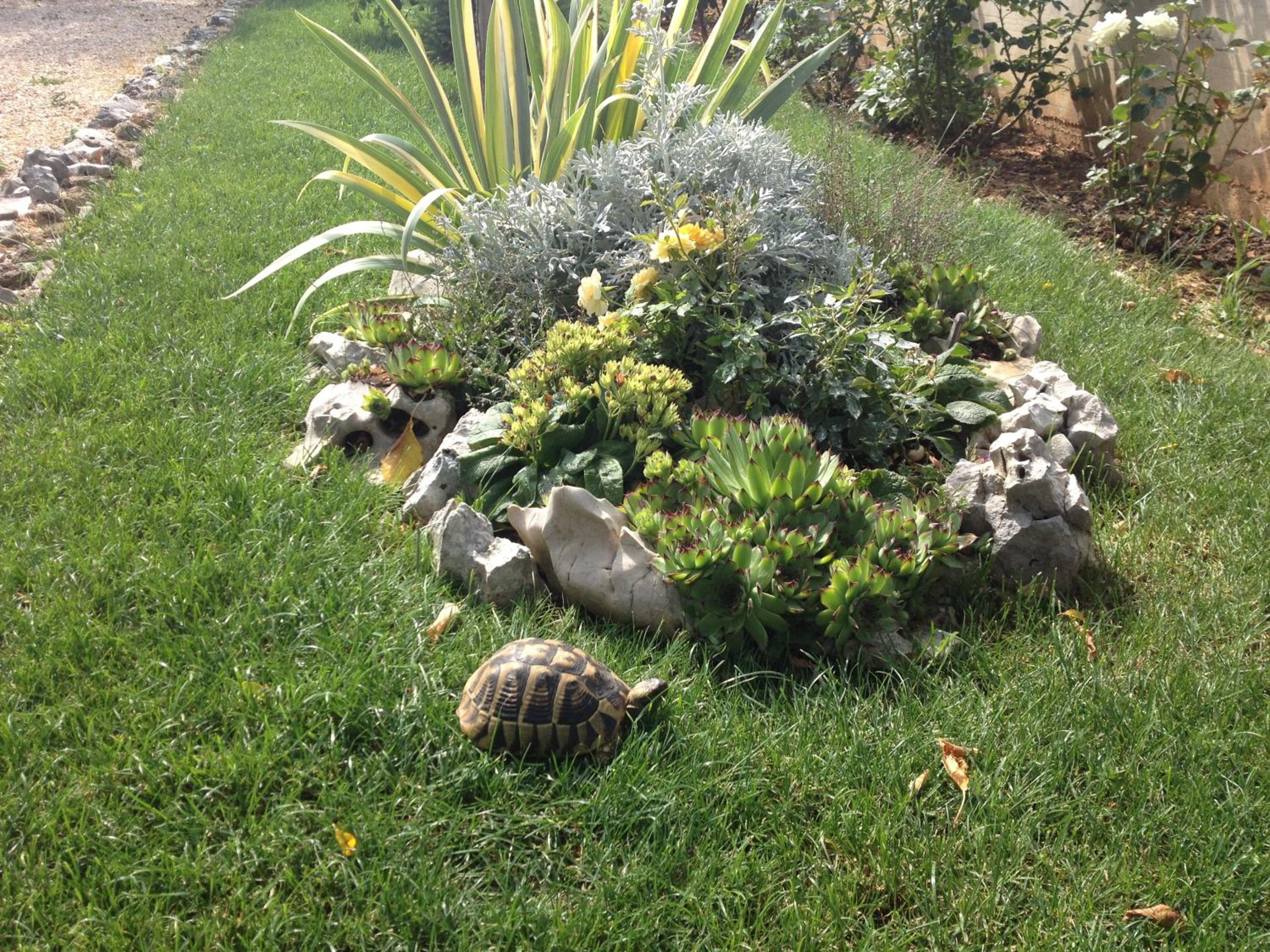 Photo 22
