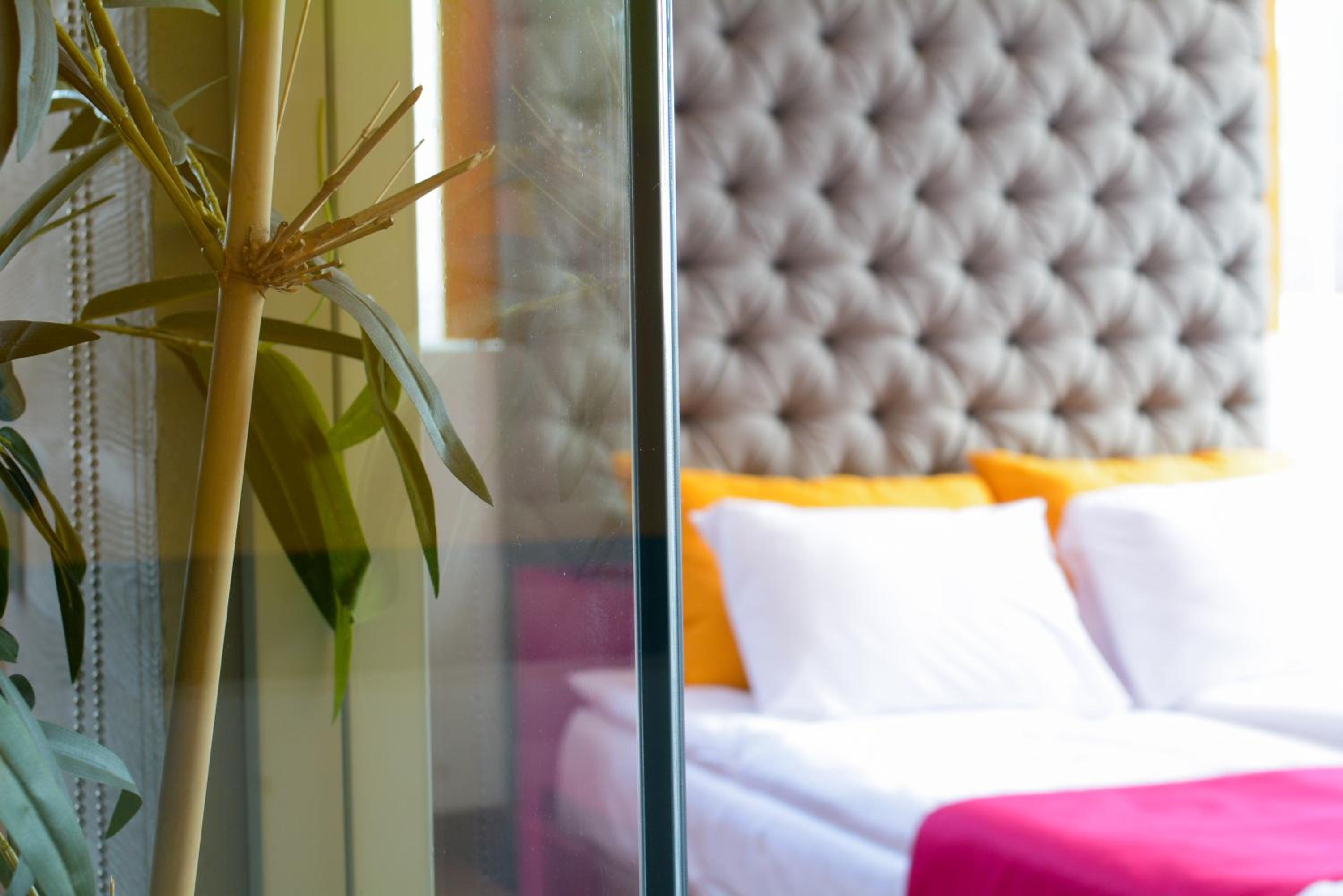 Boutique Rooms