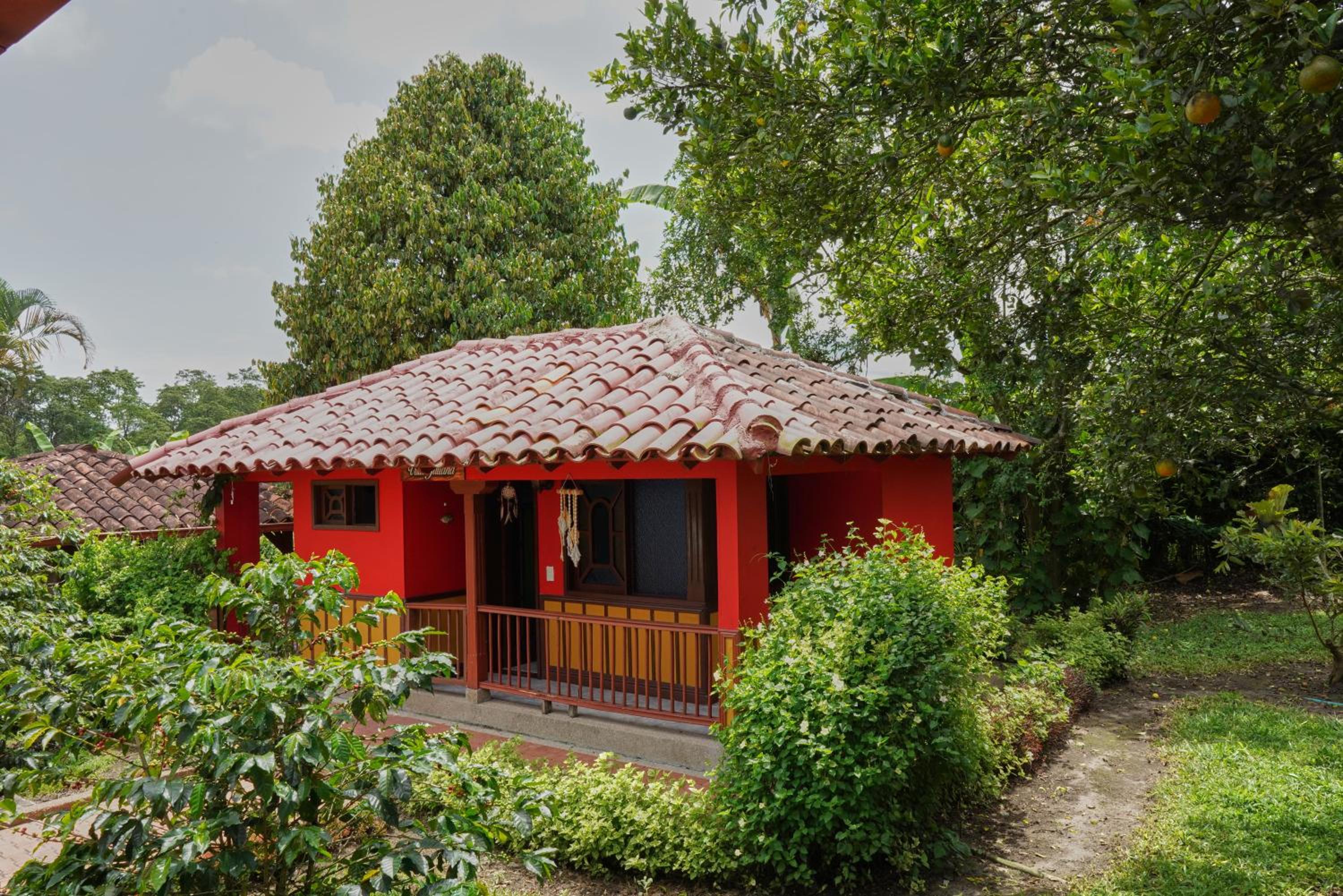 FINCA EL PATRIARCA