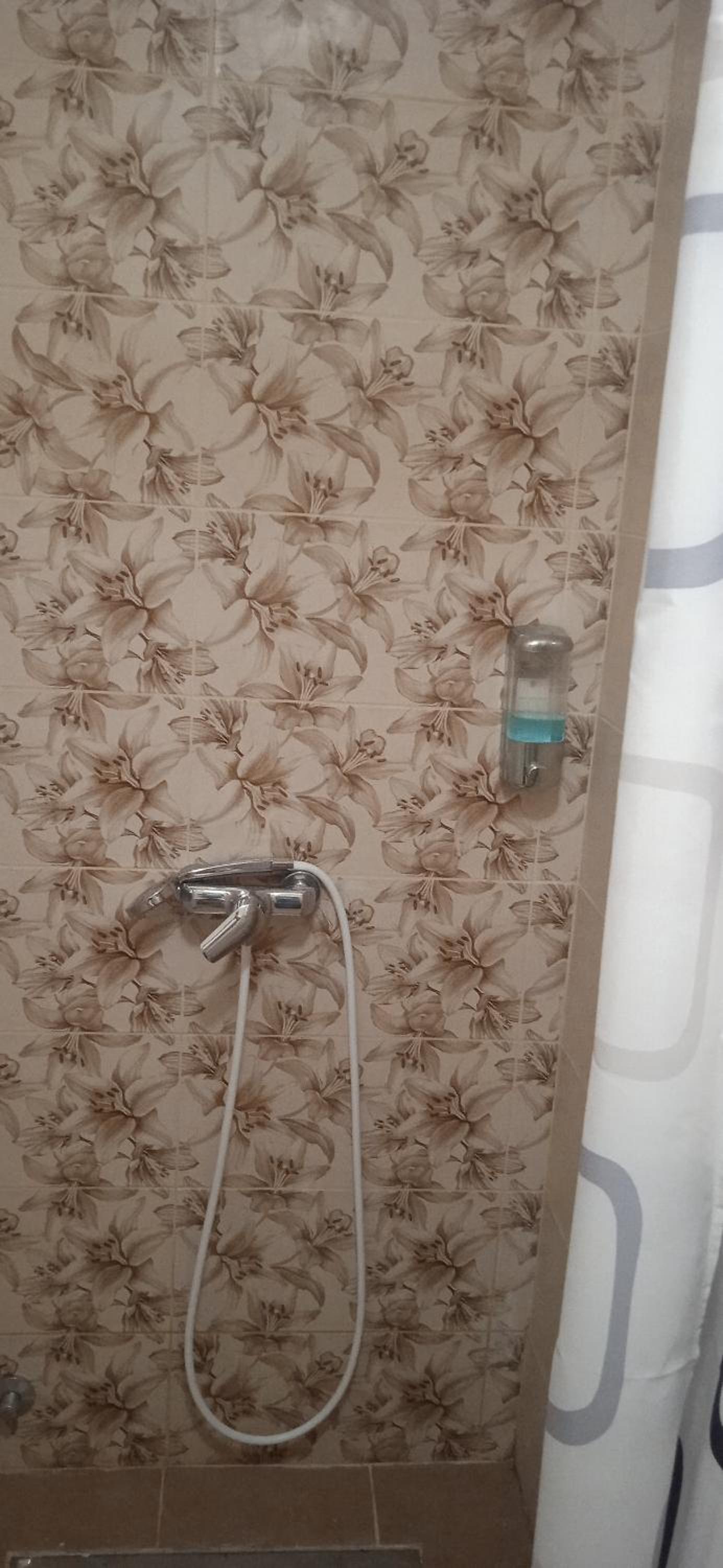 Mikassa room view 2