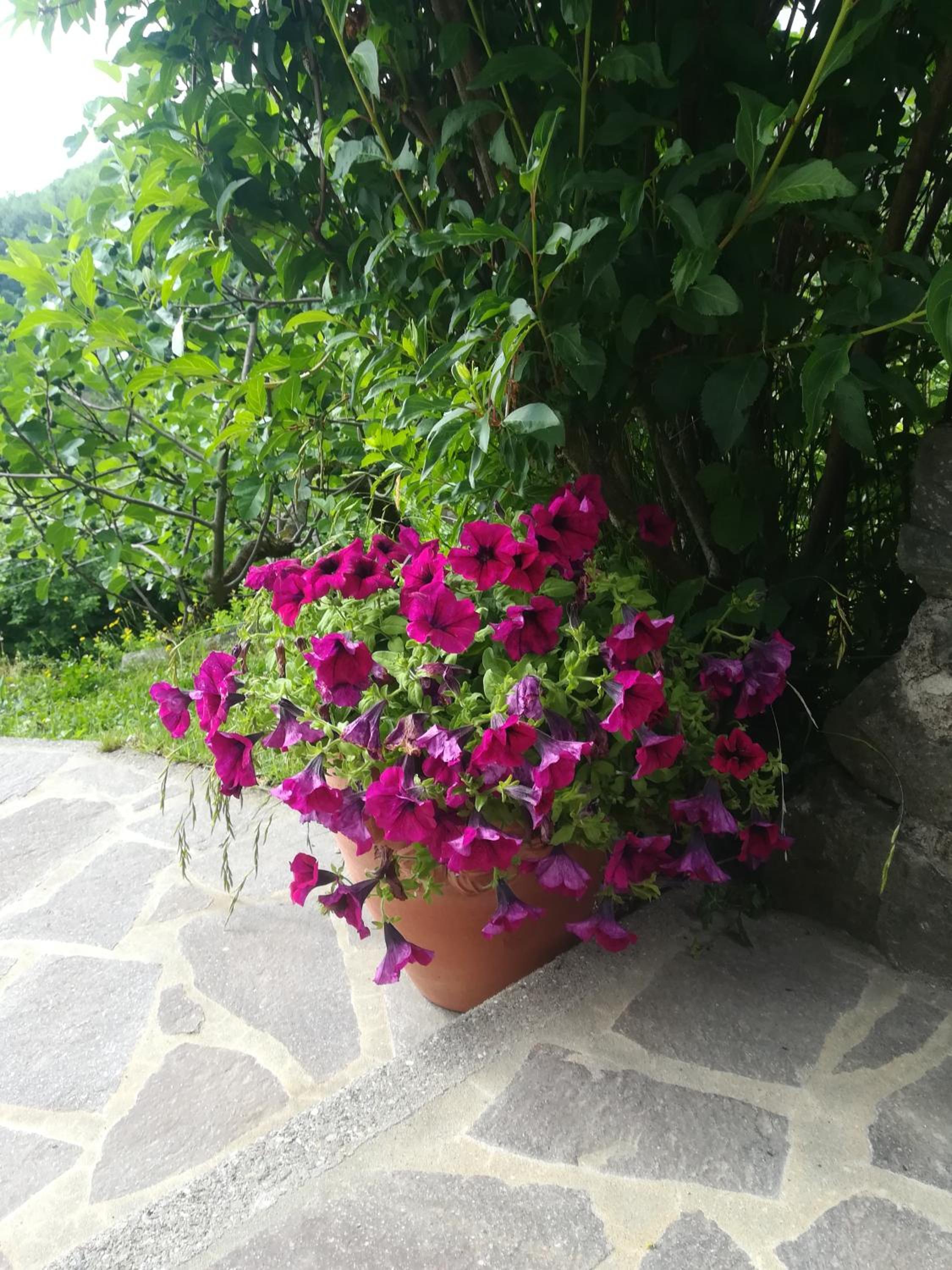 Photo 39