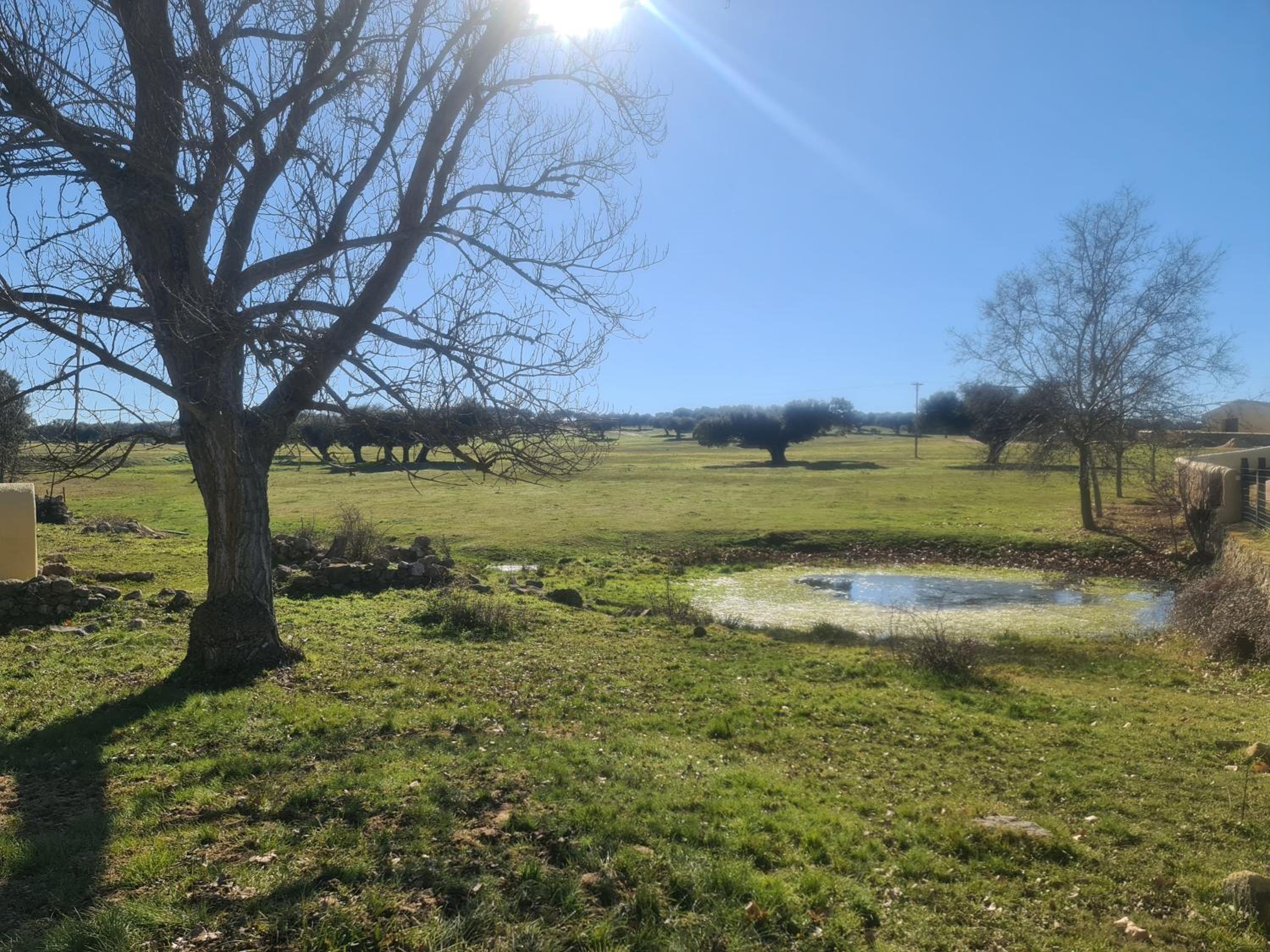 CASA RURAL PALACIO CONDE DE ALDANA con piscina entre encinares y dehesas