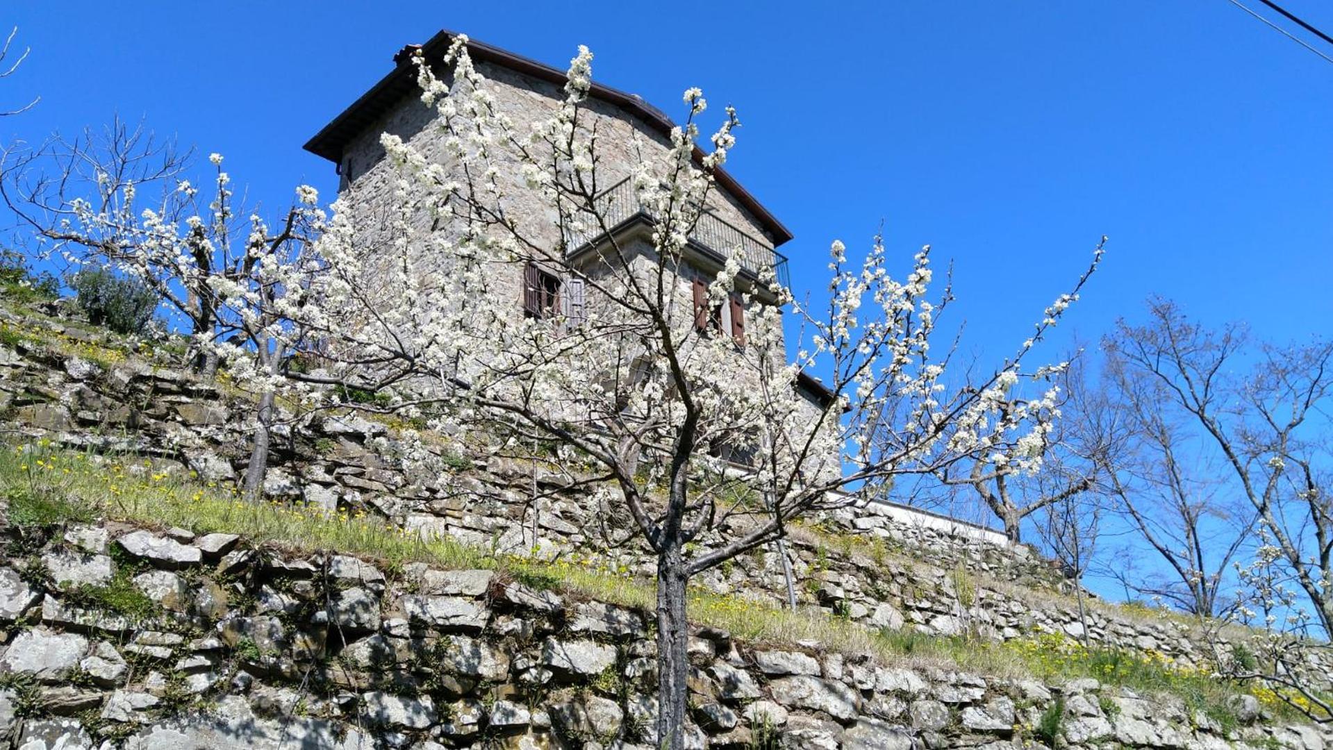Photo 41