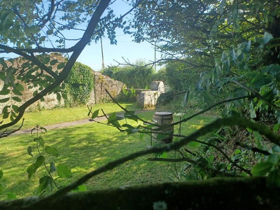 Foxglove Lodge