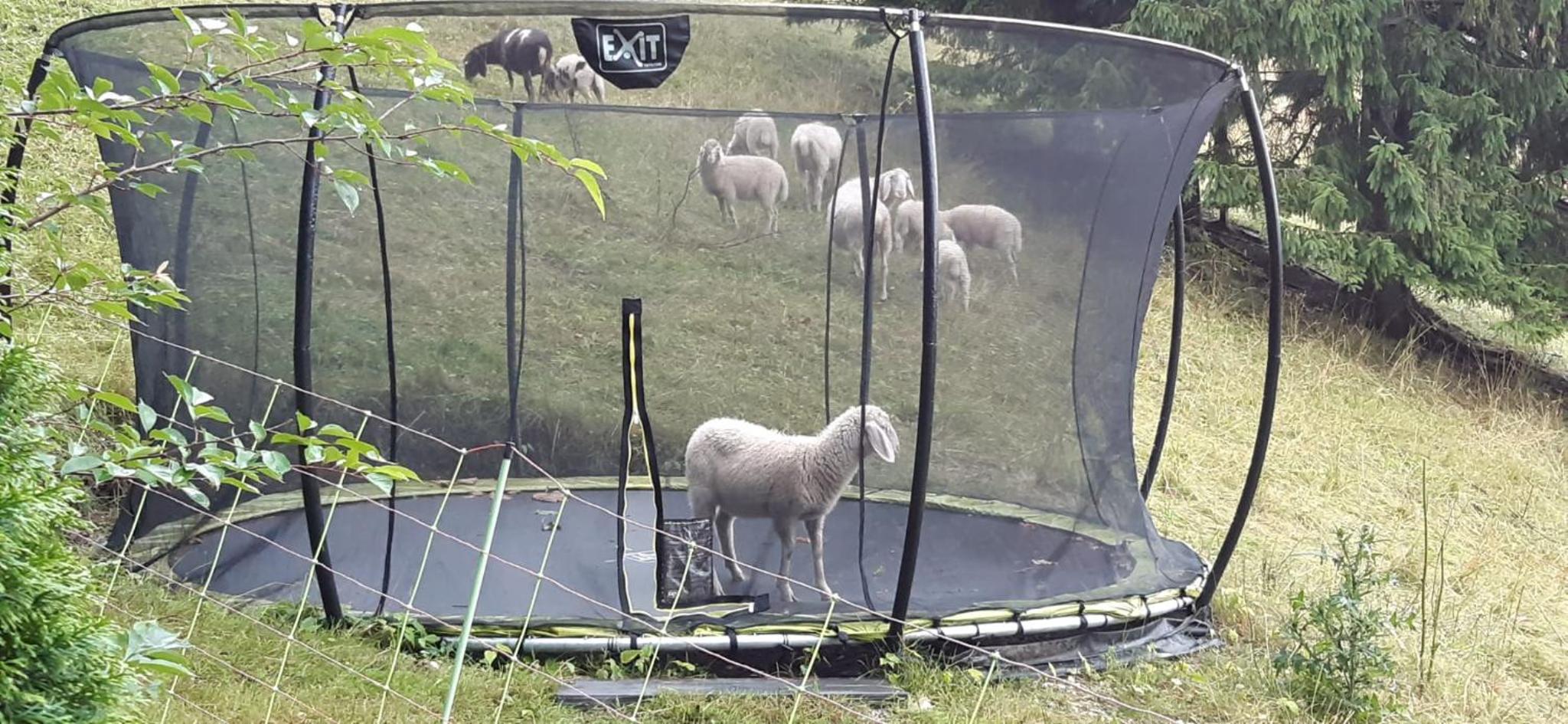 Ferienwohnung im Brechstubenweg