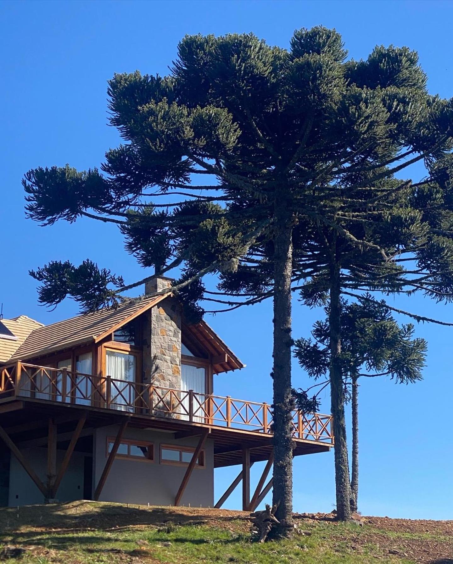 Tenuta Bergamaschi