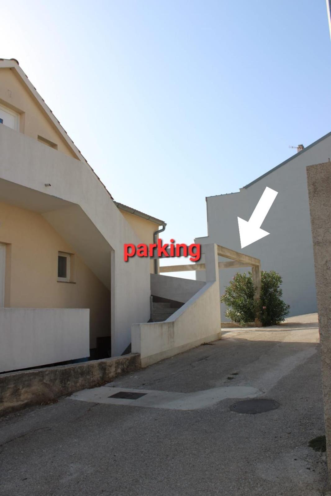 Apartman Maslina