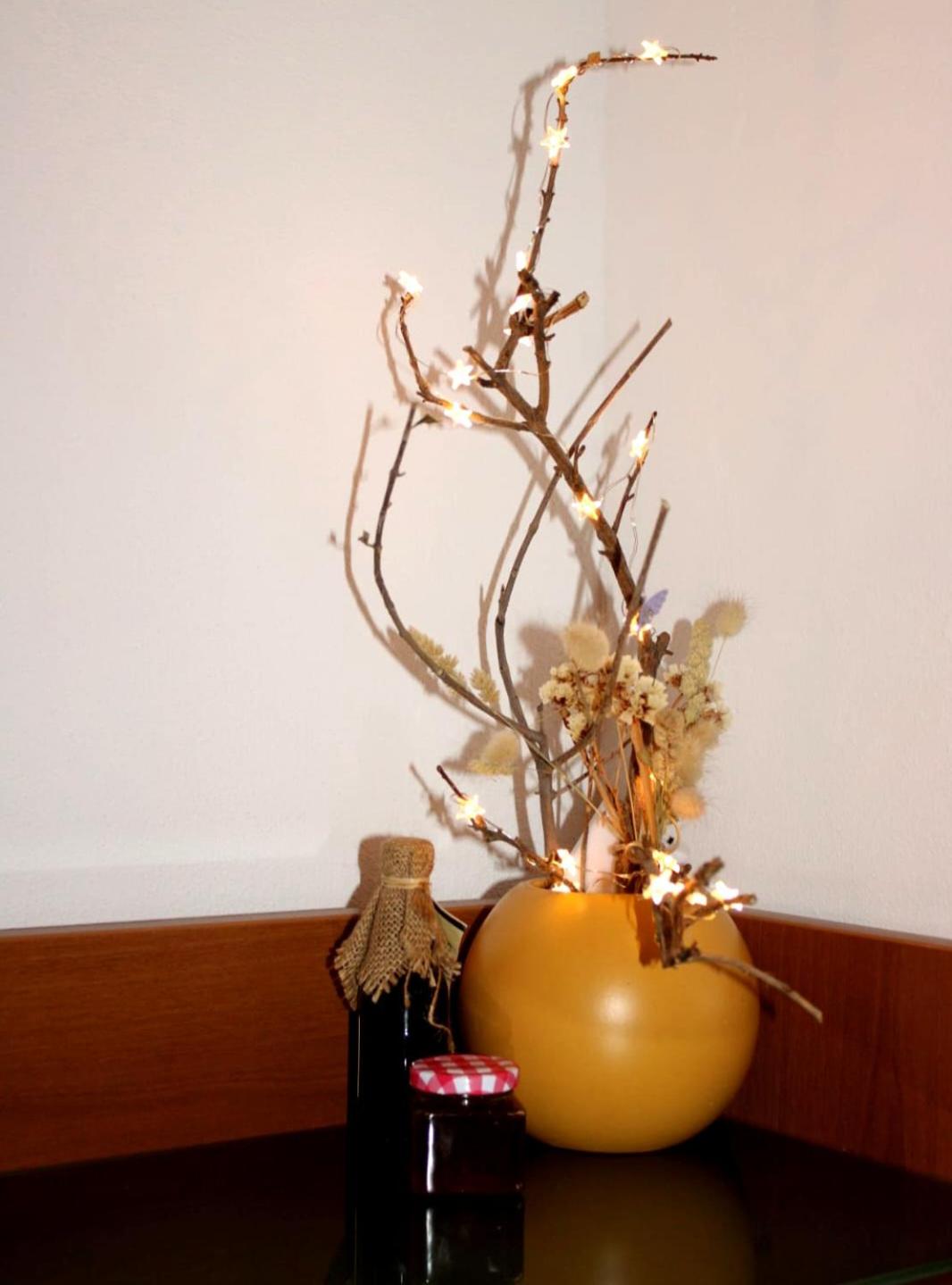 Apartman Maslina