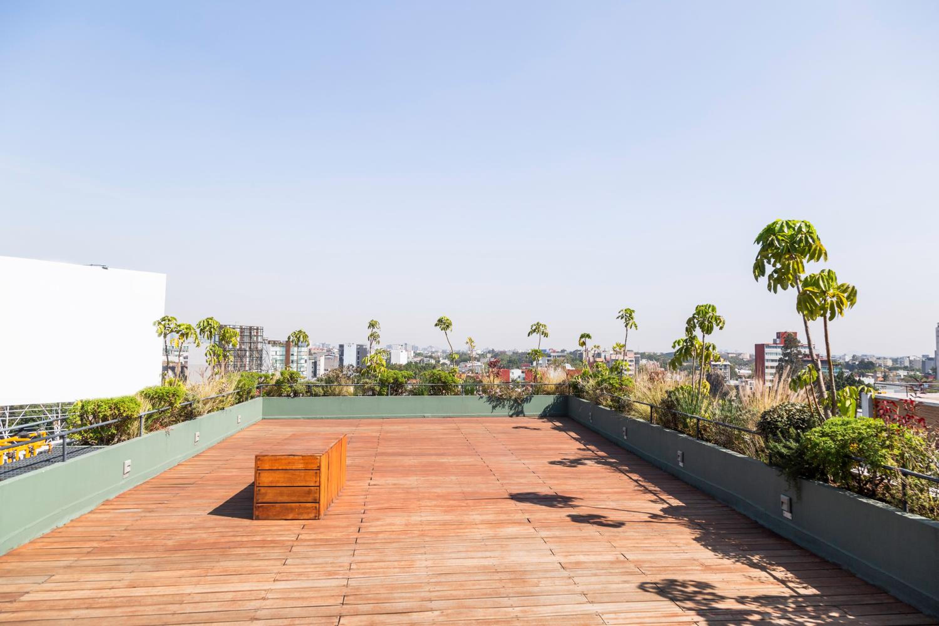 Spectacular GardenHouse in La Condesa! photo 2