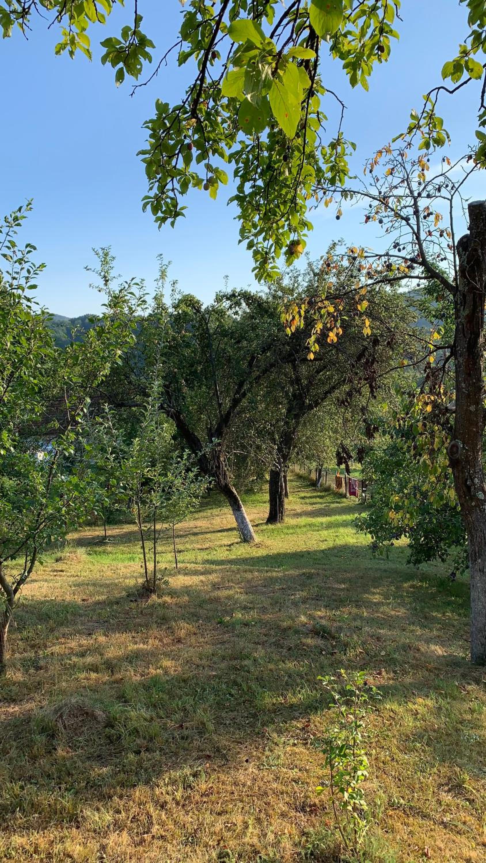 Casa Ocina