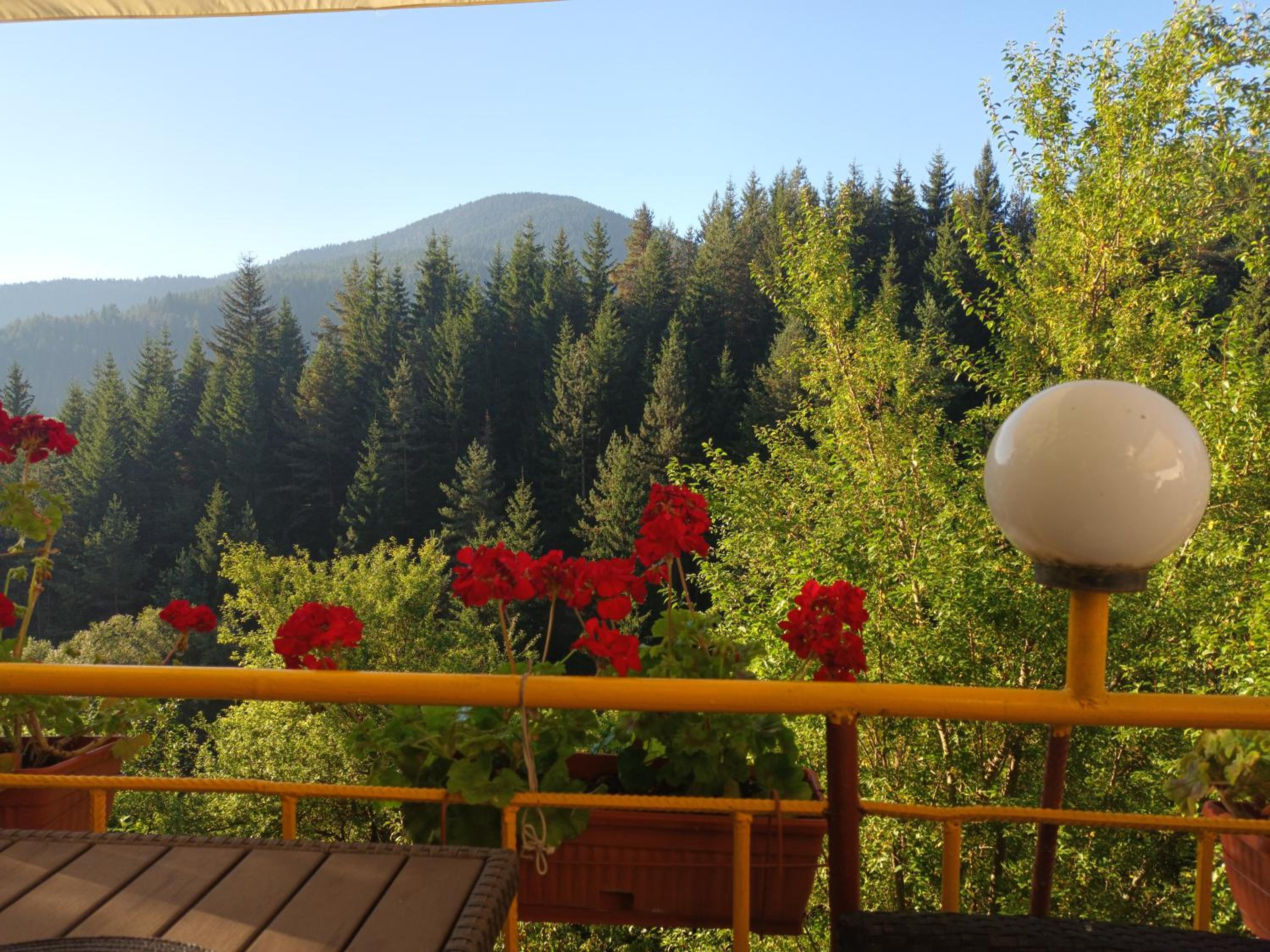 Guest House Stoletnika