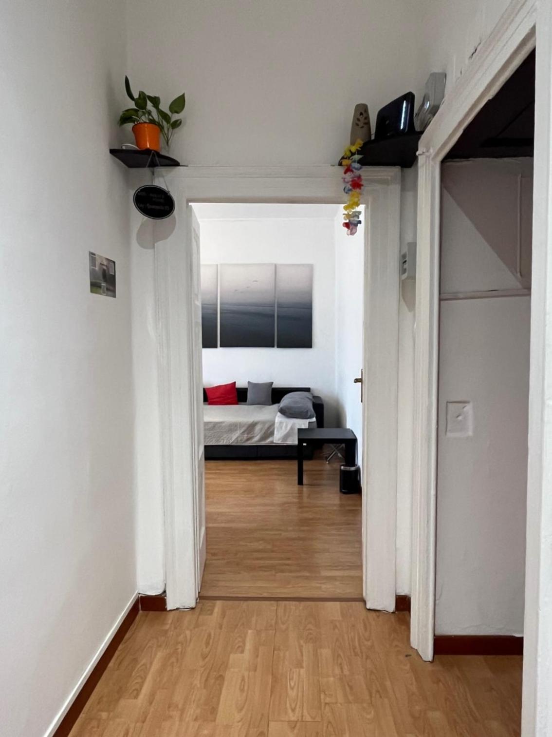 Molis's House