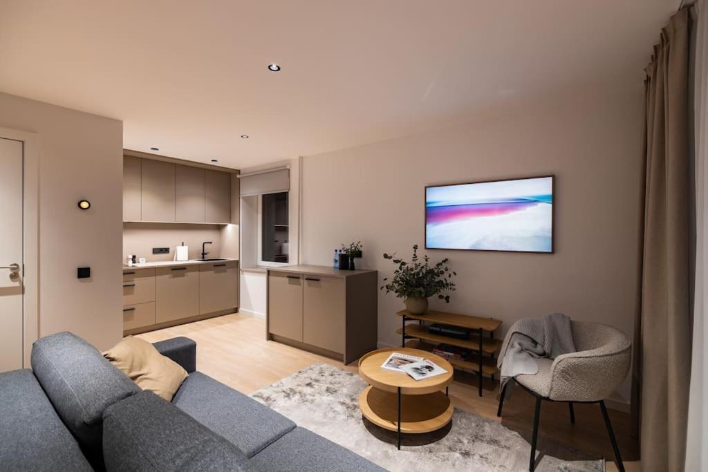 Birzes dzīvoklis (Birzes condo) view 5