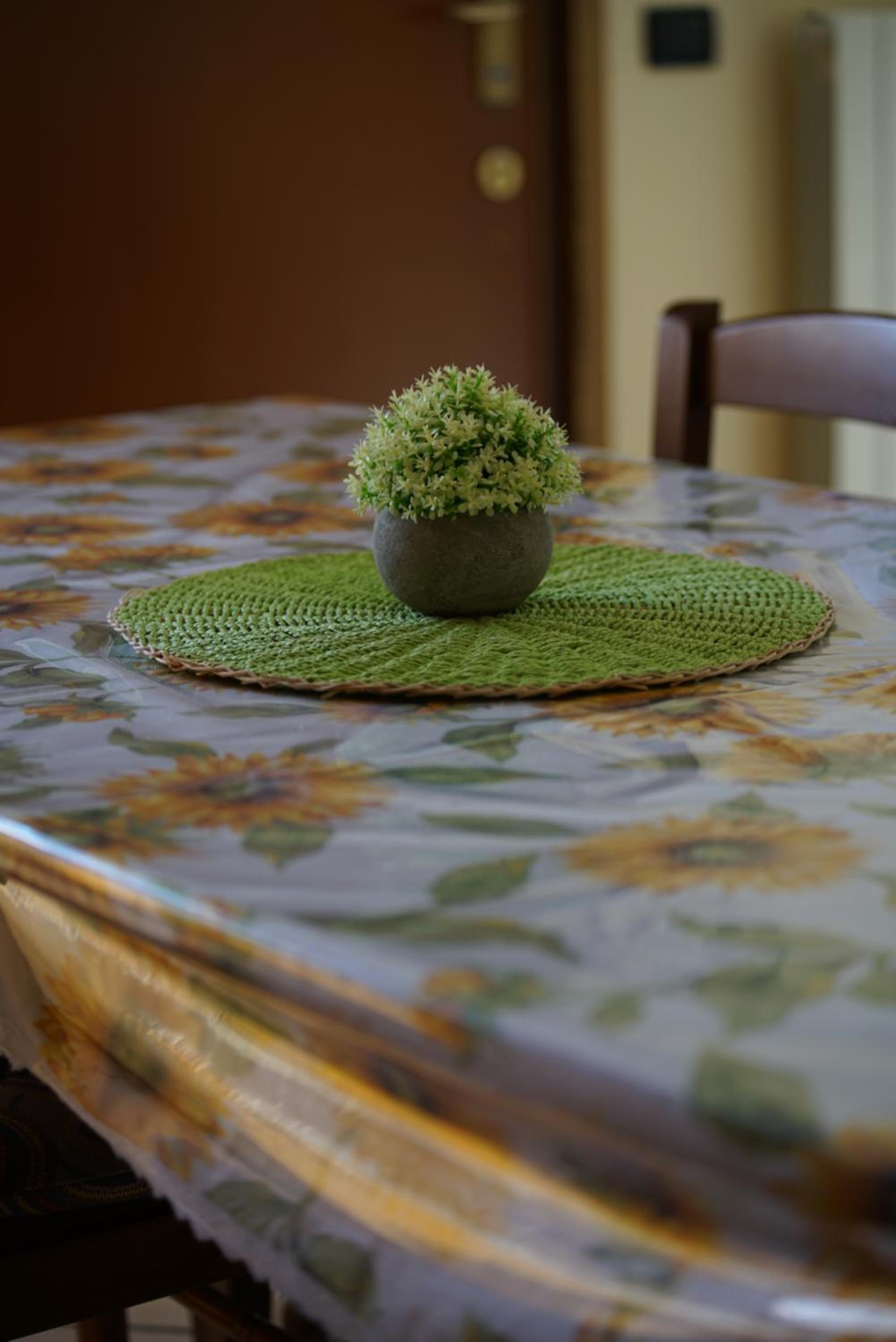 Somma Lombardo Vacations - giardino privato - comodo per Malpensa e Milano - Property Image 12