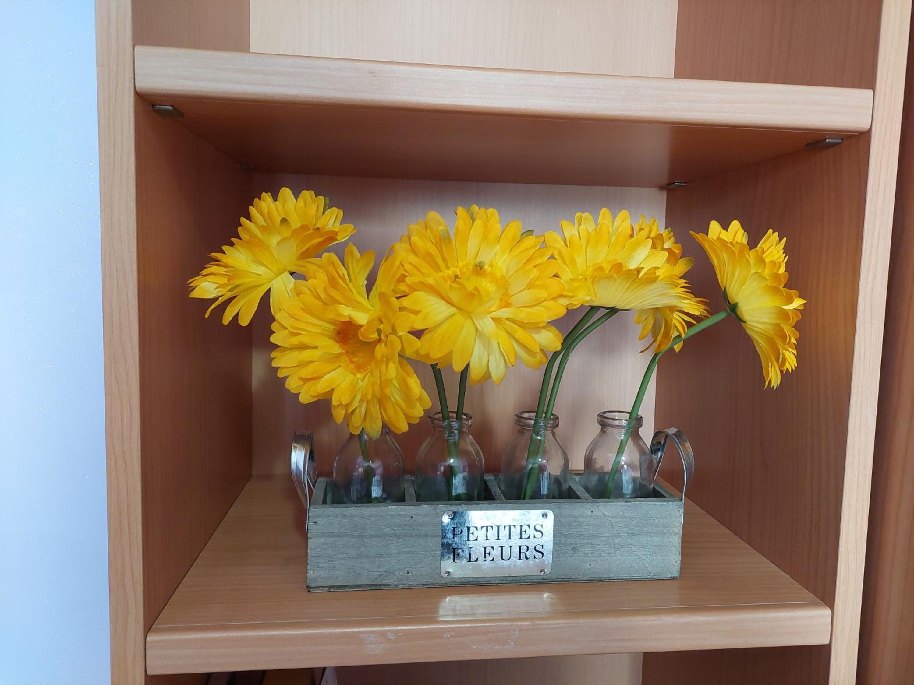 Somma Lombardo Vacations - giardino privato - comodo per Malpensa e Milano - Property Image 2