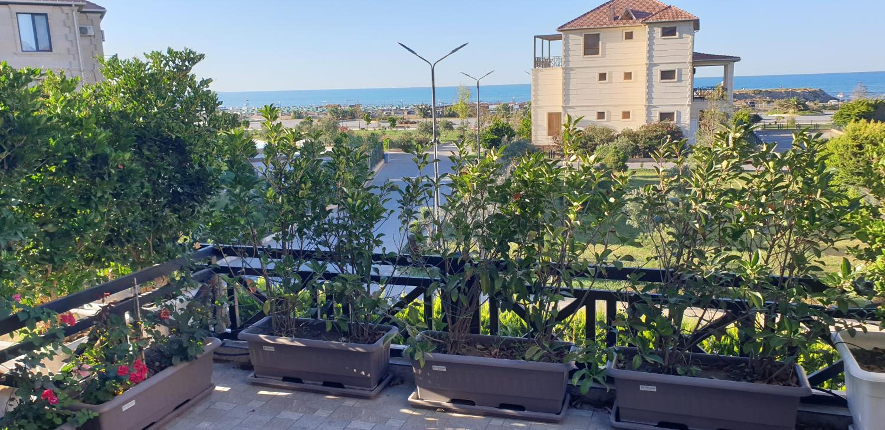 S Pollo Apartments by first beach line