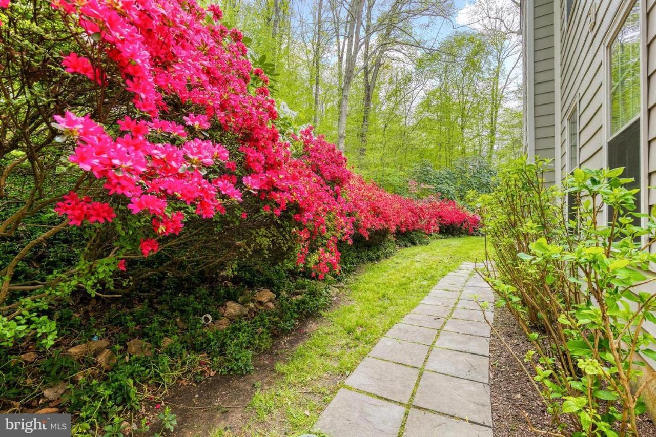 8-Bedroom Luxury Home in Baltimore Maryland view 4