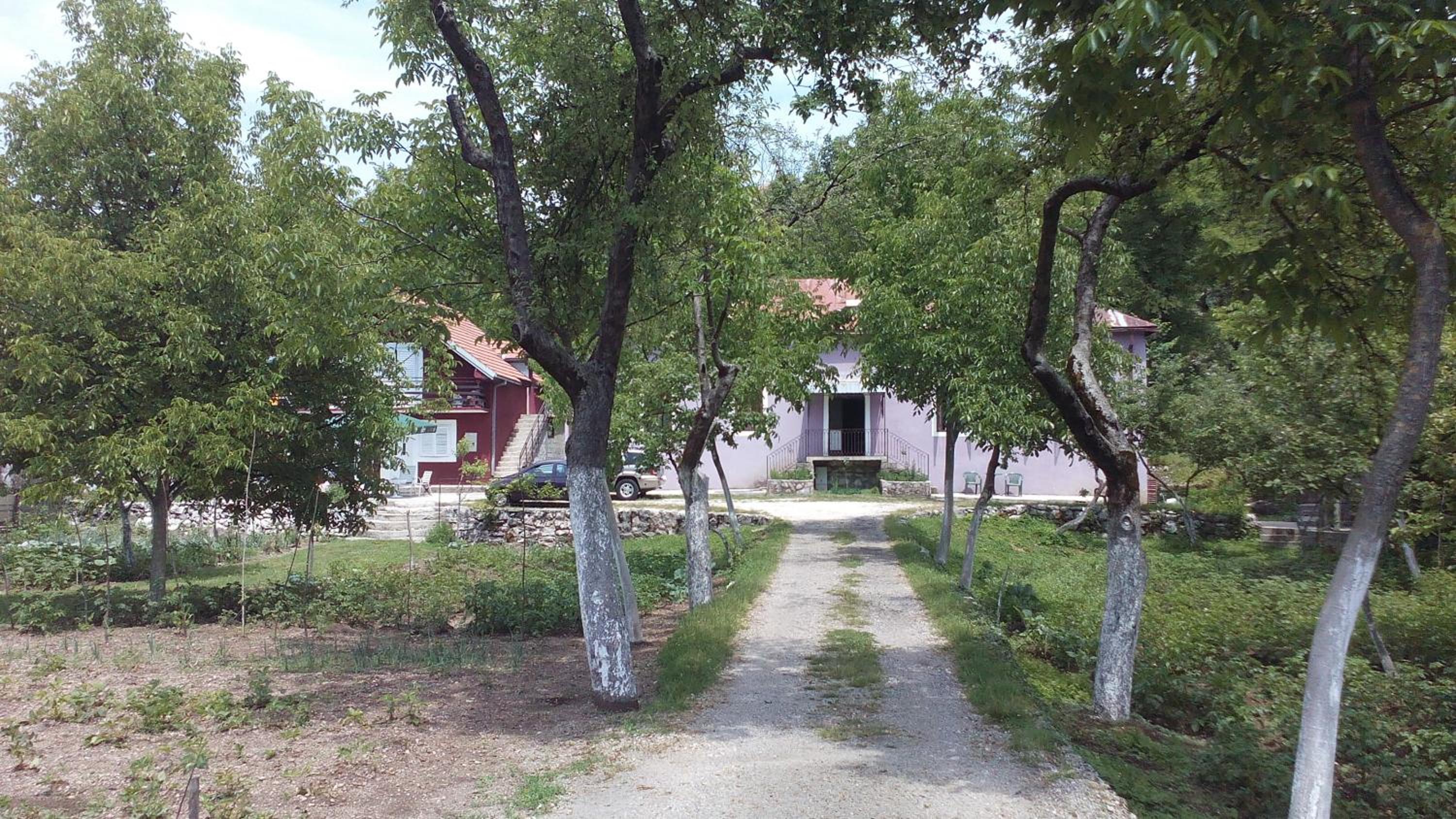 Photo 30
