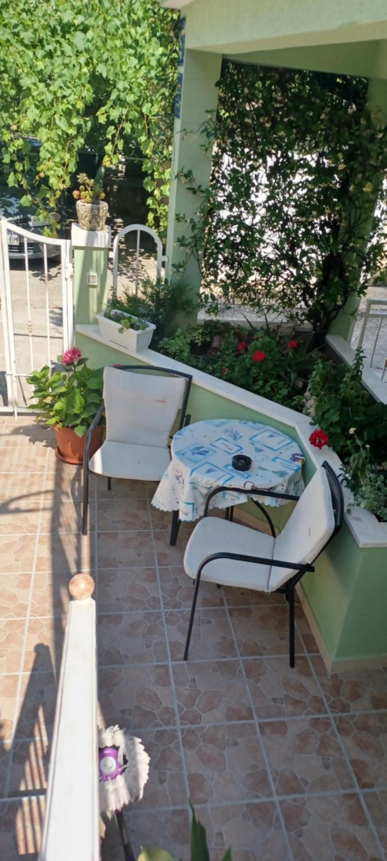Apartmani clementina sunrise