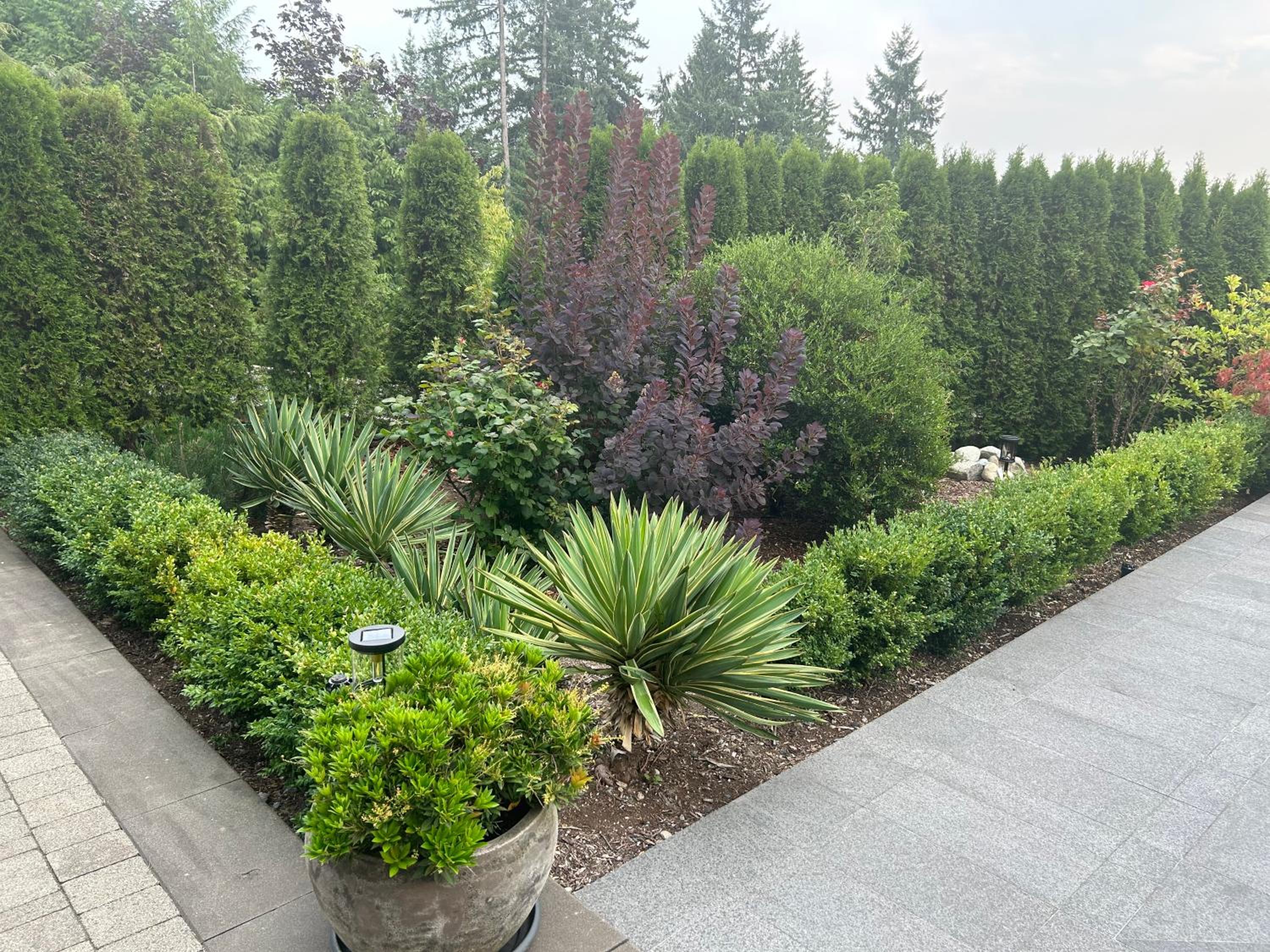 Luxury accomodation in West Vancouver