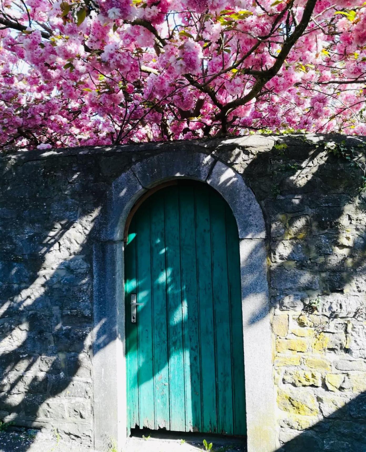 B&B La Ruelle