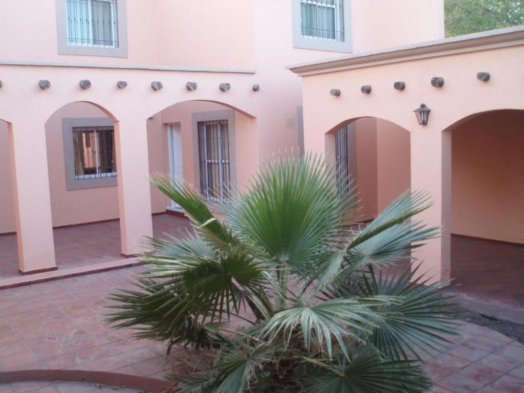 Duplex Aconcagua