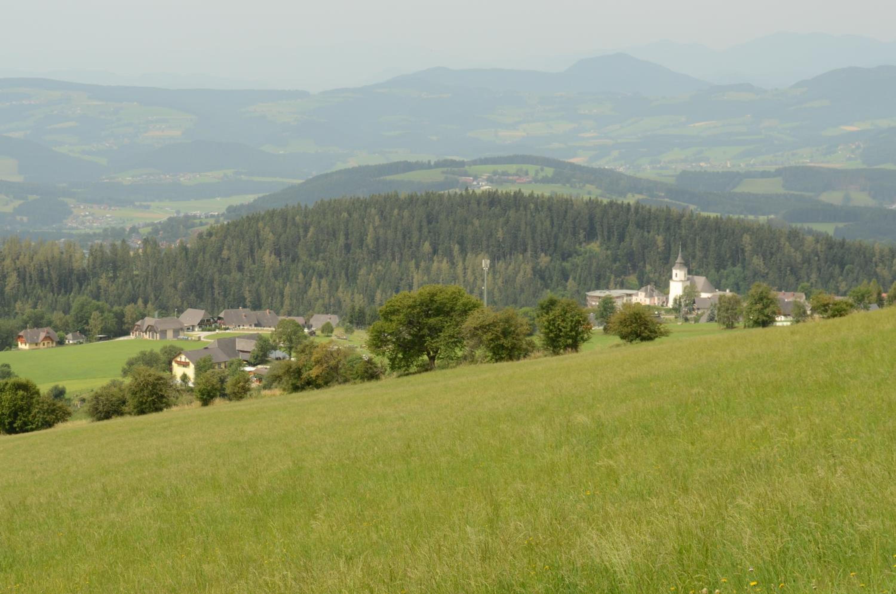 Photo 33