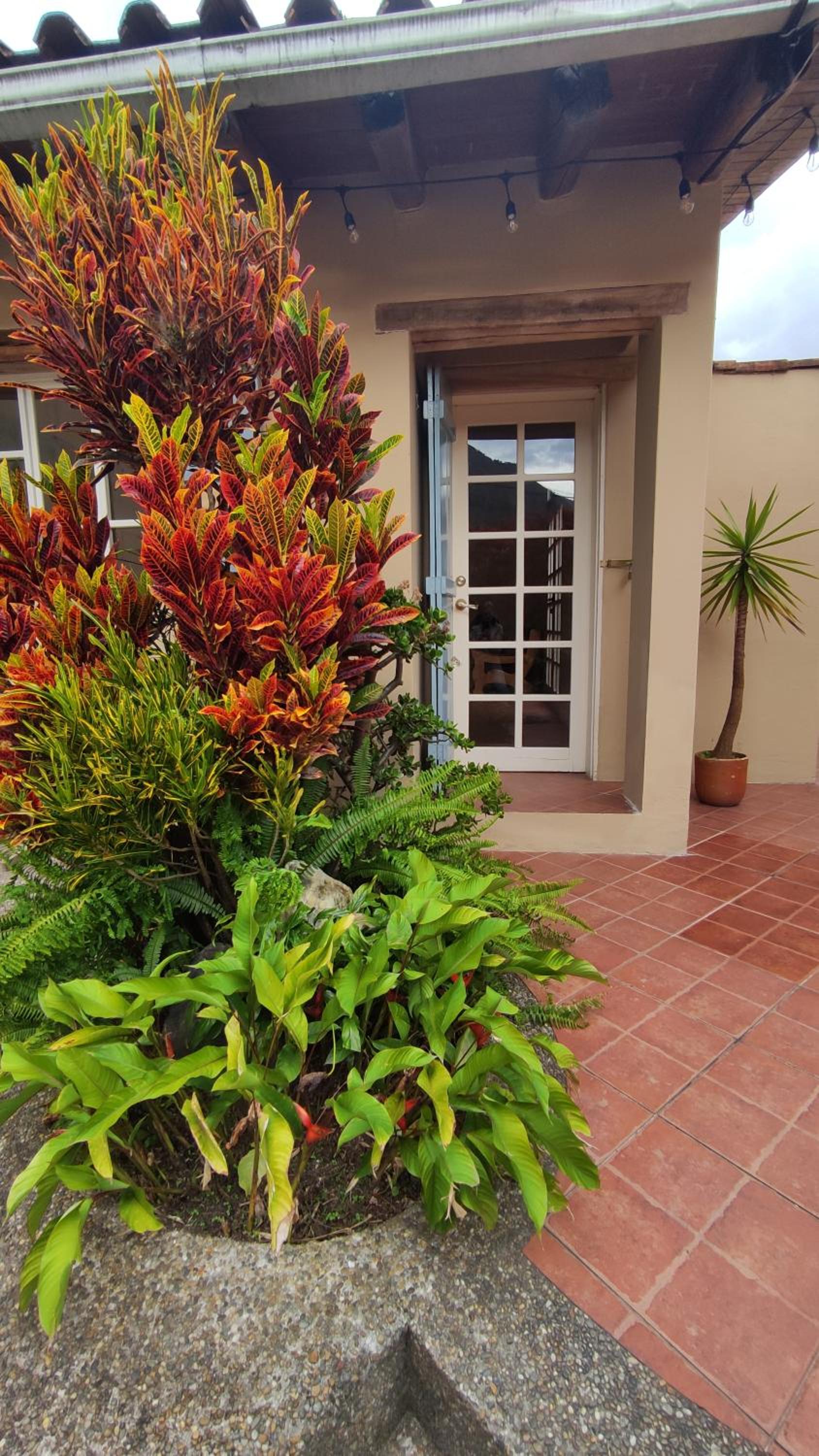 Casa Colonial "Dulce Hogar" view 5
