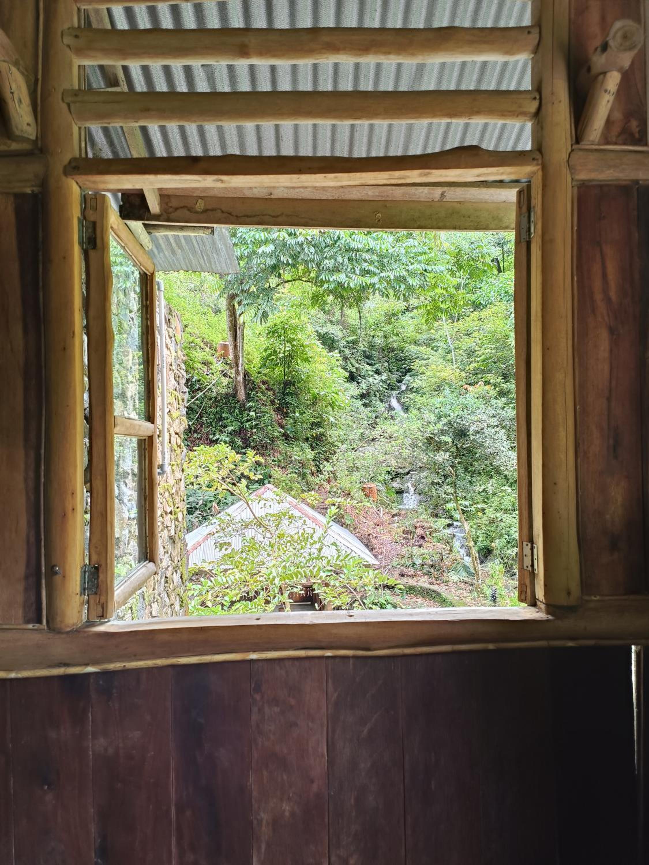 Back to Nature Ecotourism view 4