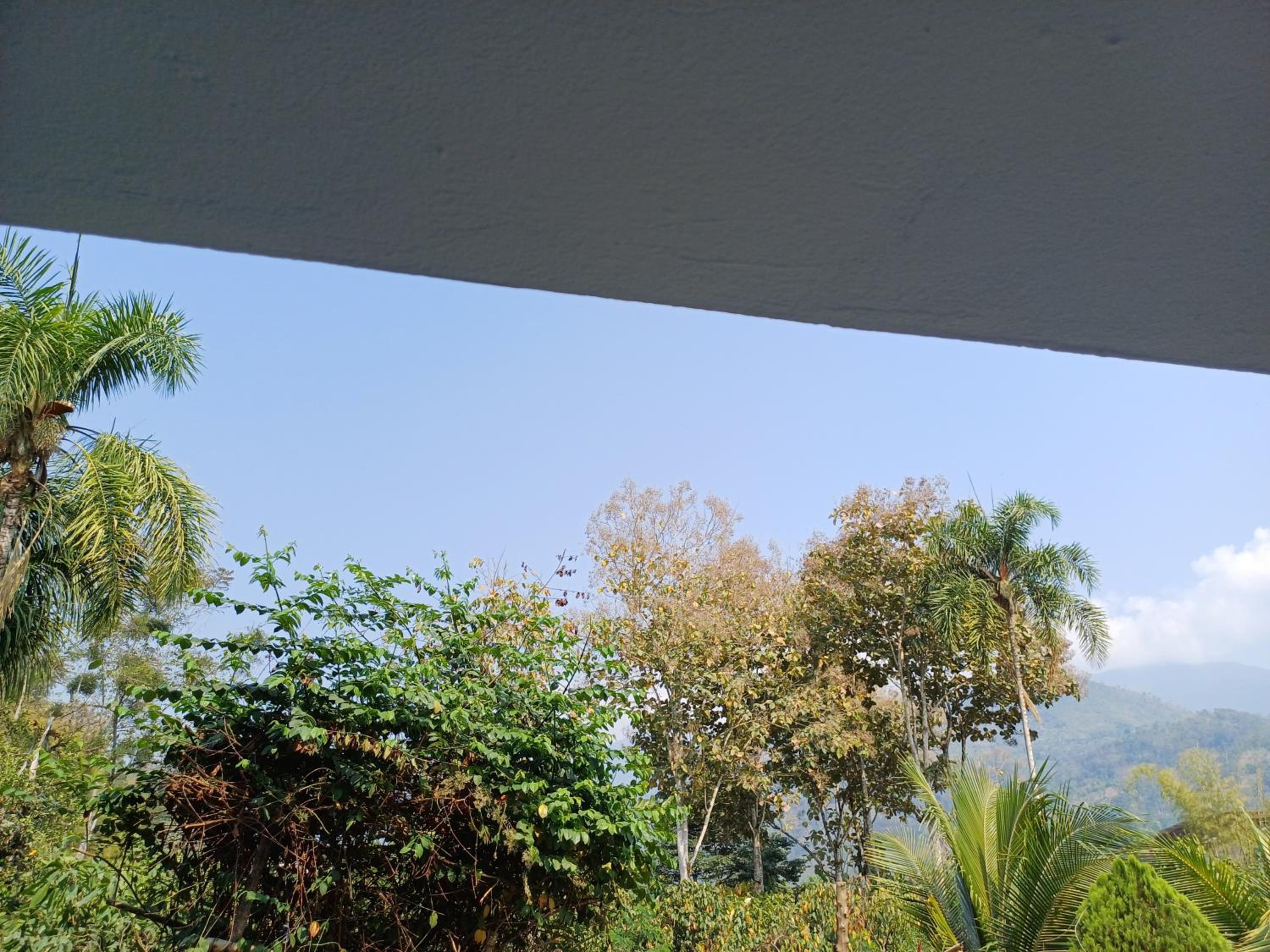 El Cacaotal Finca Faura #5 3H view 2