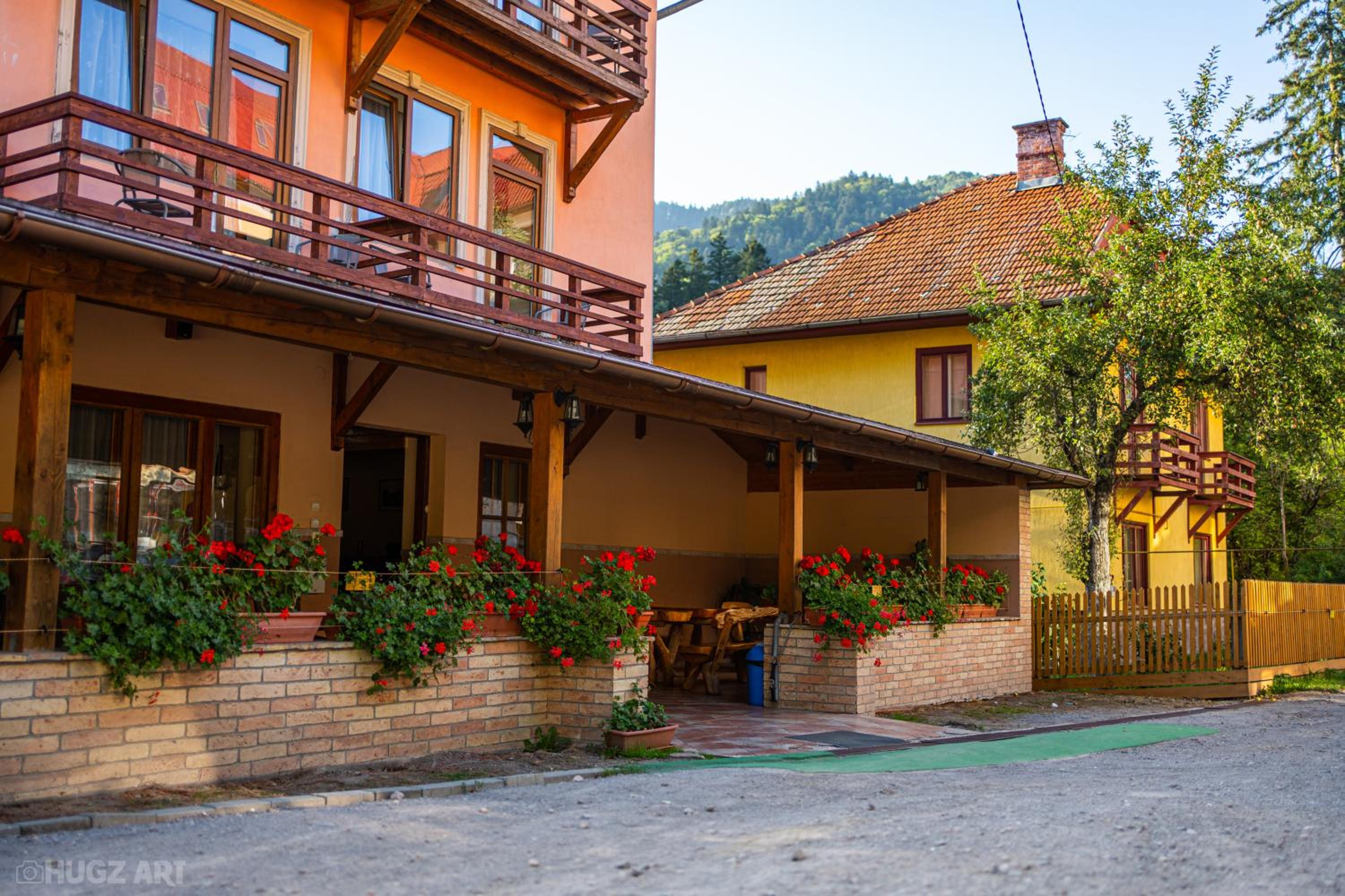 Pensiunea Viktoria view 2
