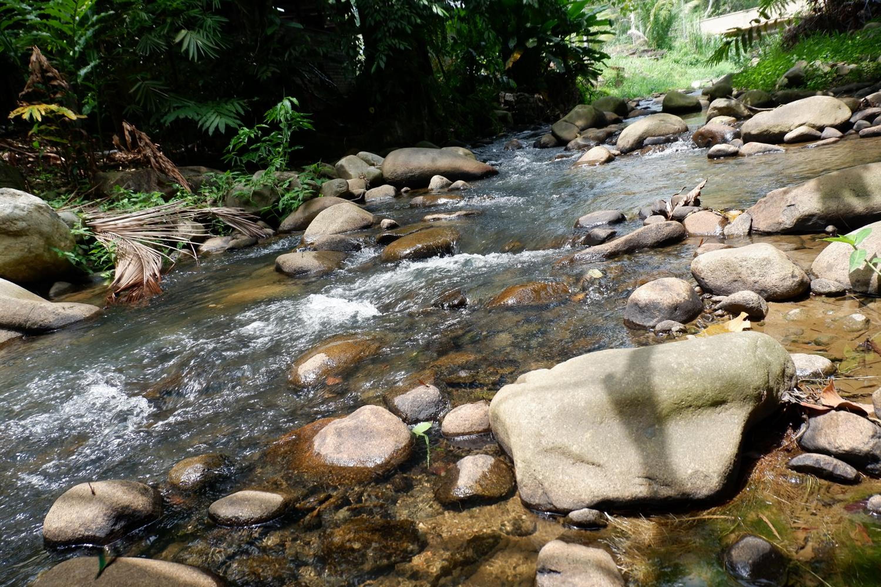 Jungle Zen Janda Baik Campsite photo 6