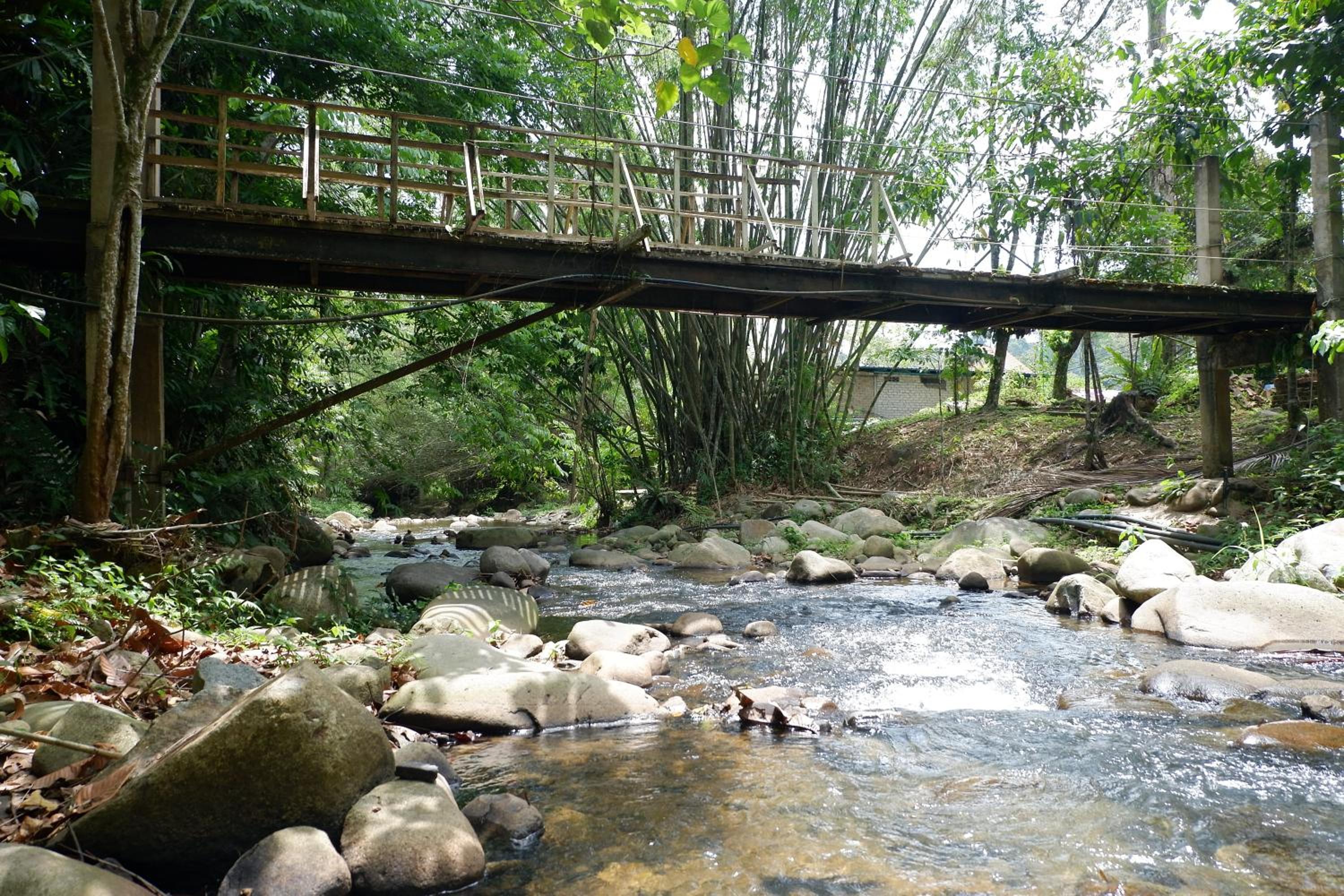 Jungle Zen Janda Baik Campsite photo 8