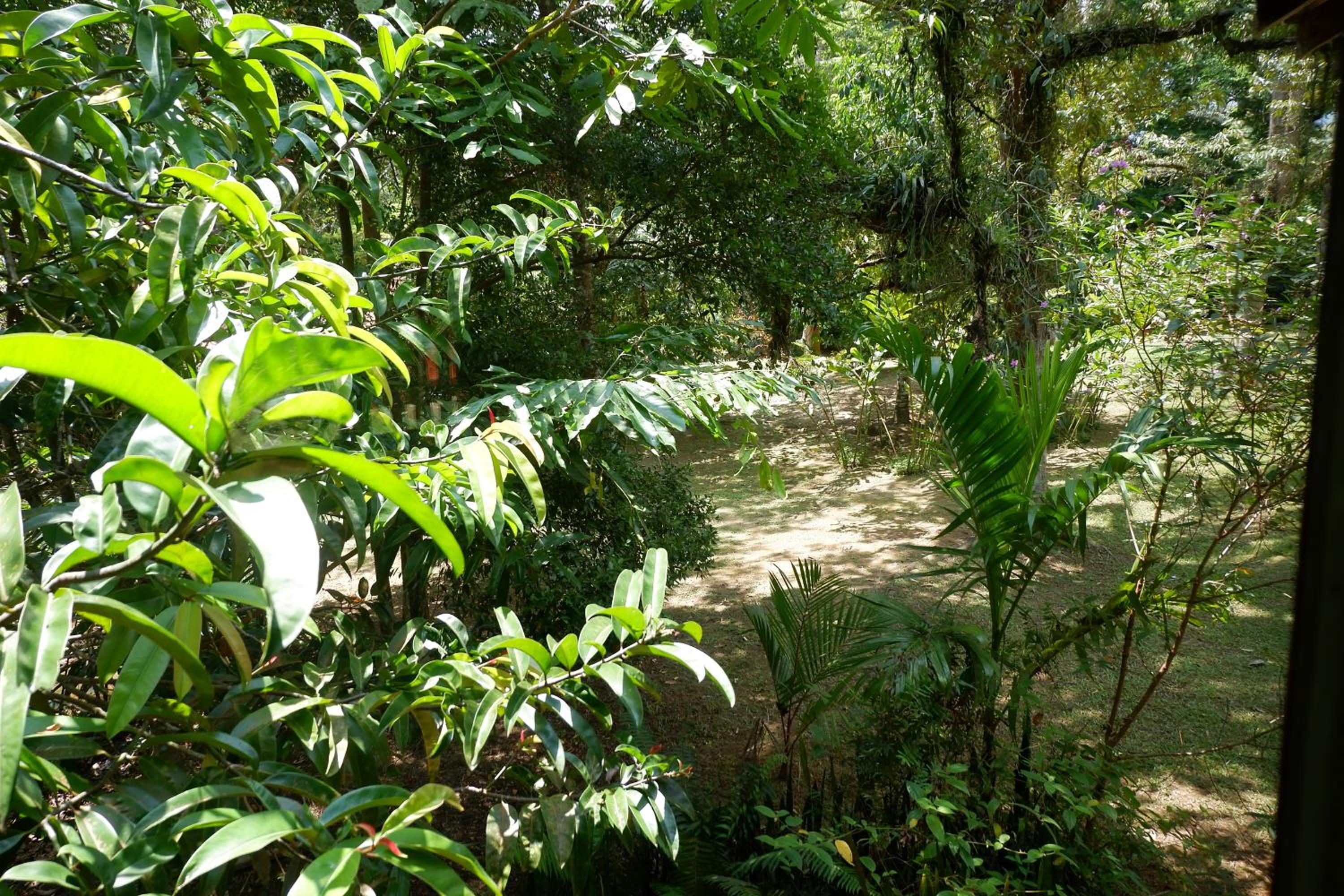 Photo 20
