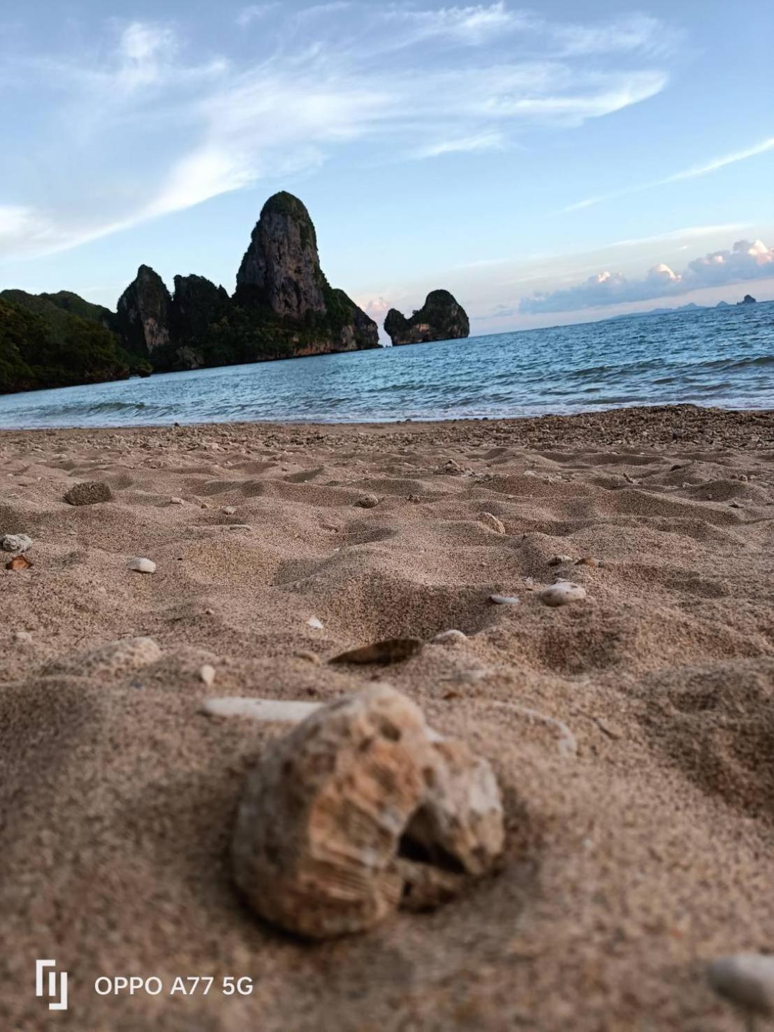 Tonsai Bay Resort