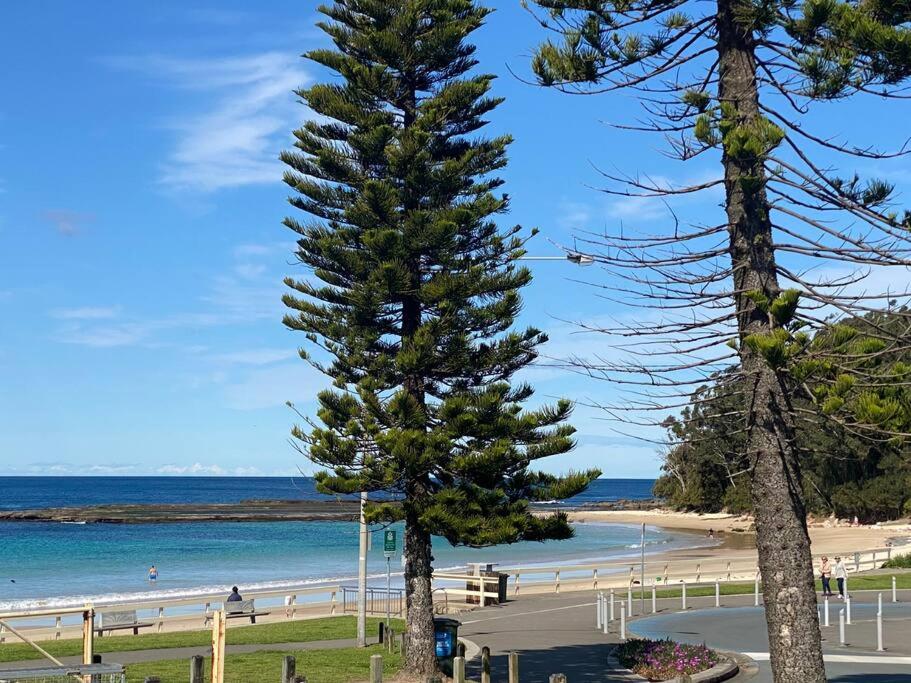 Aerial Blue Mollymook