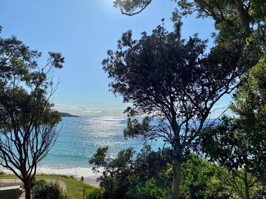 Aerial Blue Mollymook