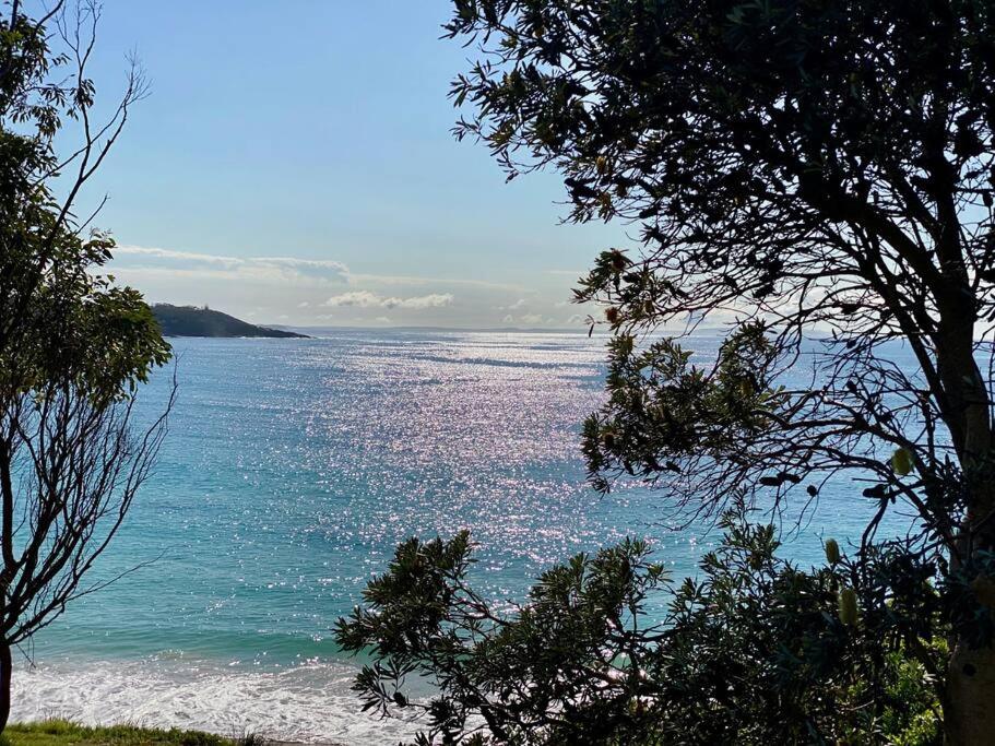 Aerial Blue Mollymook