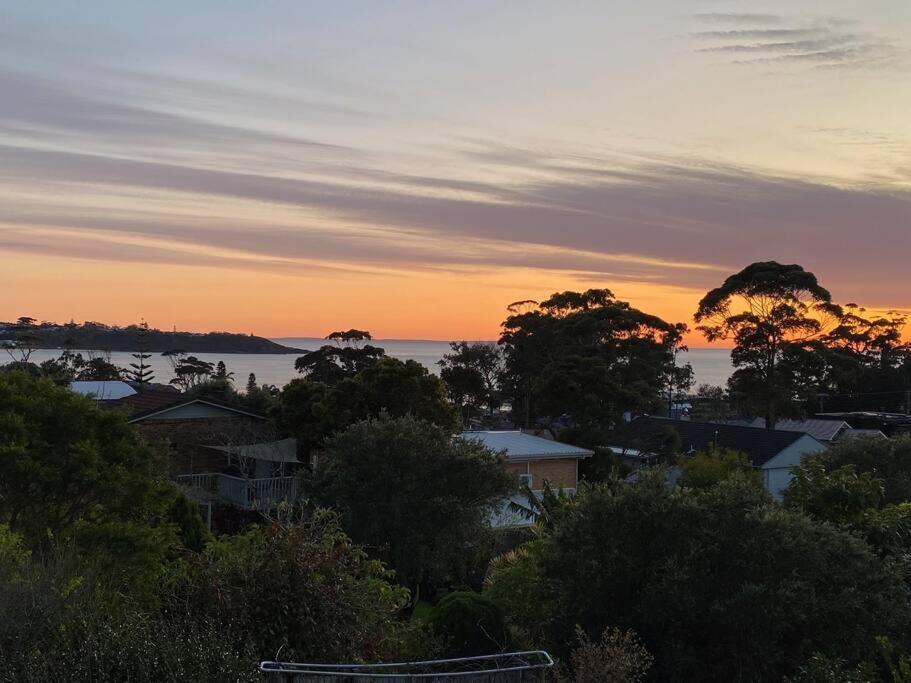 Aerial Blue Mollymook