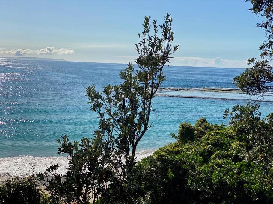 Aerial Blue Mollymook