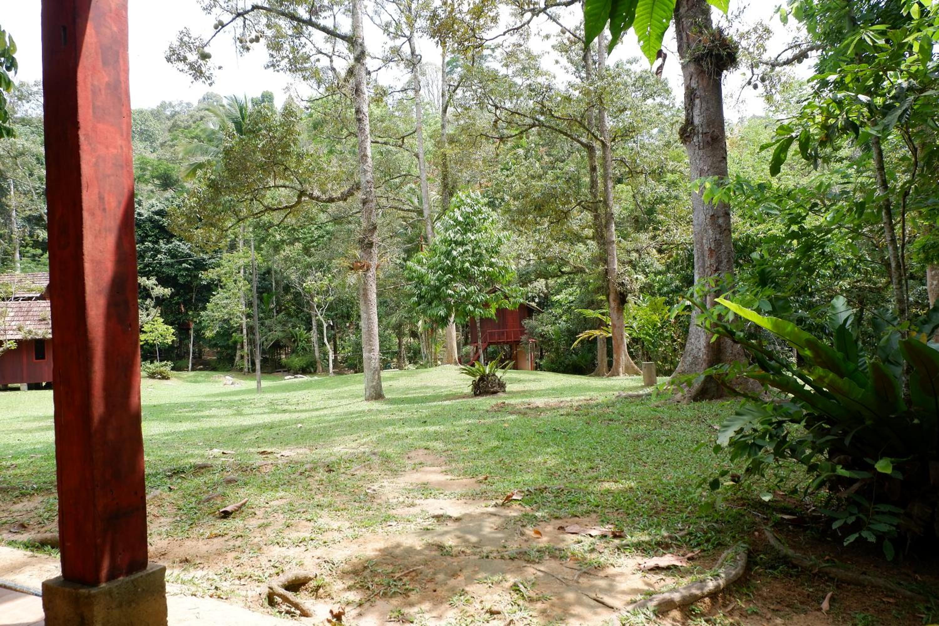 Jungle Zen Janda Baik Campsite photo 2